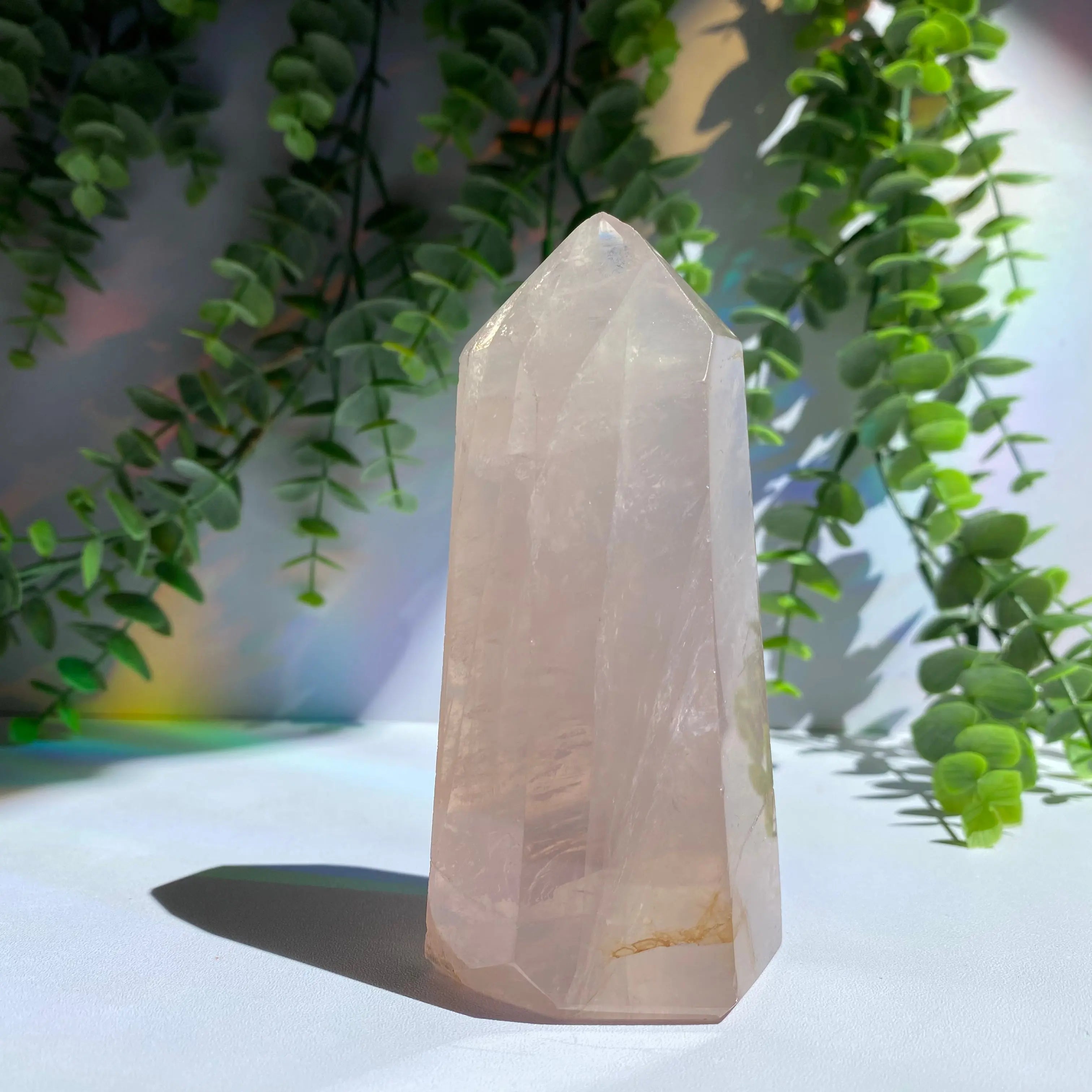 Rose Quartz Point Arabella Crystals