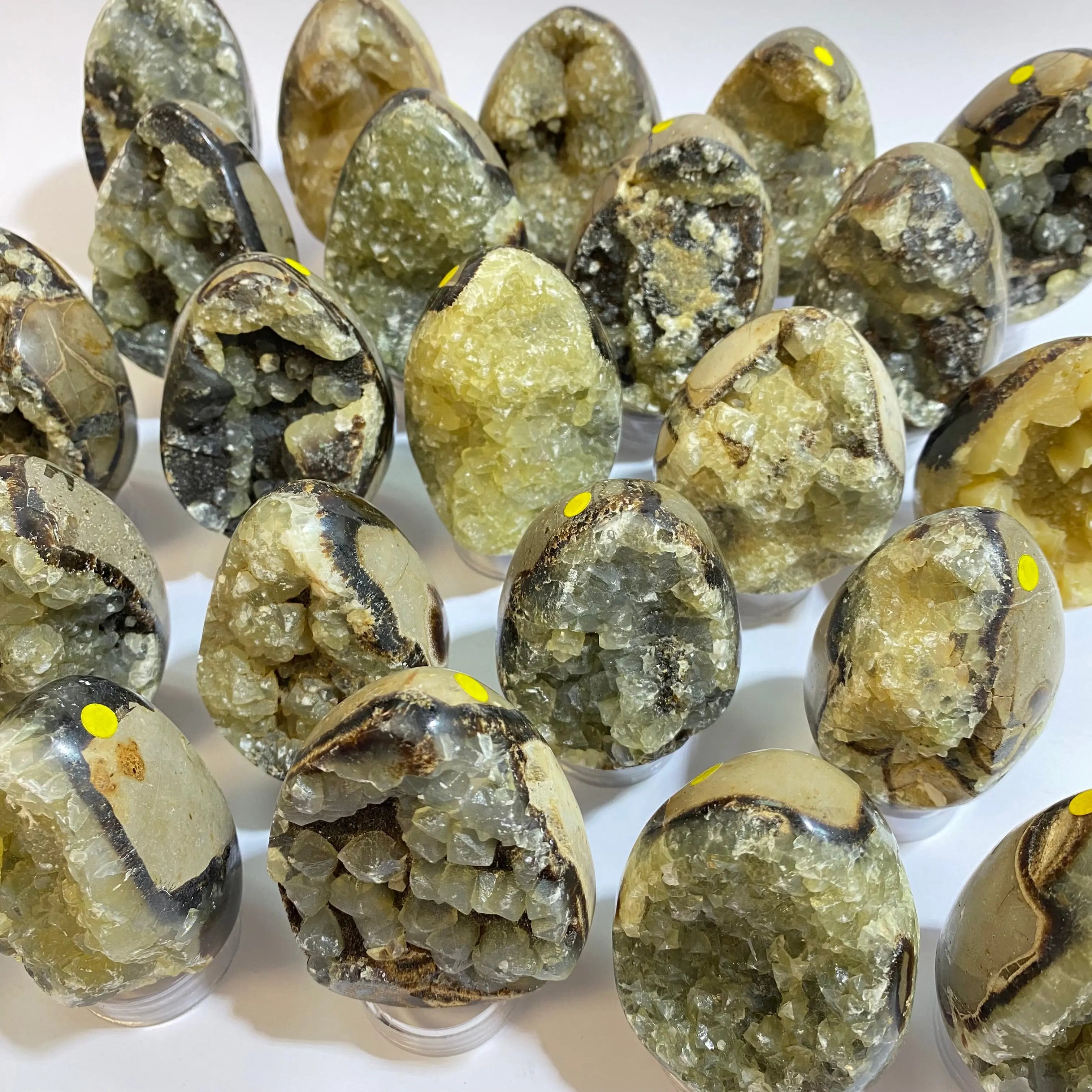 Septarian Agate Egg Arabella Crystals