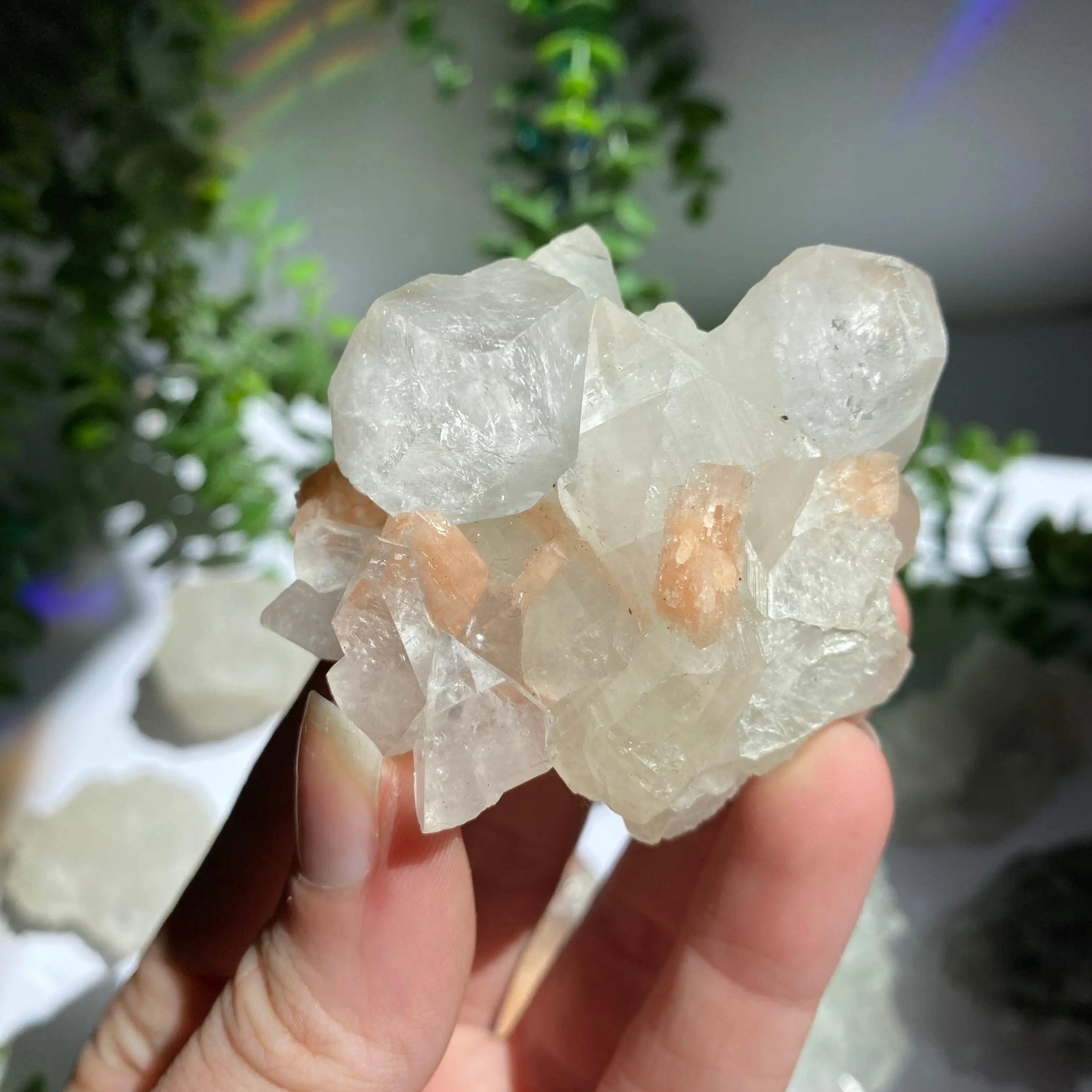 Zeolite Cluster Arabella Crystals