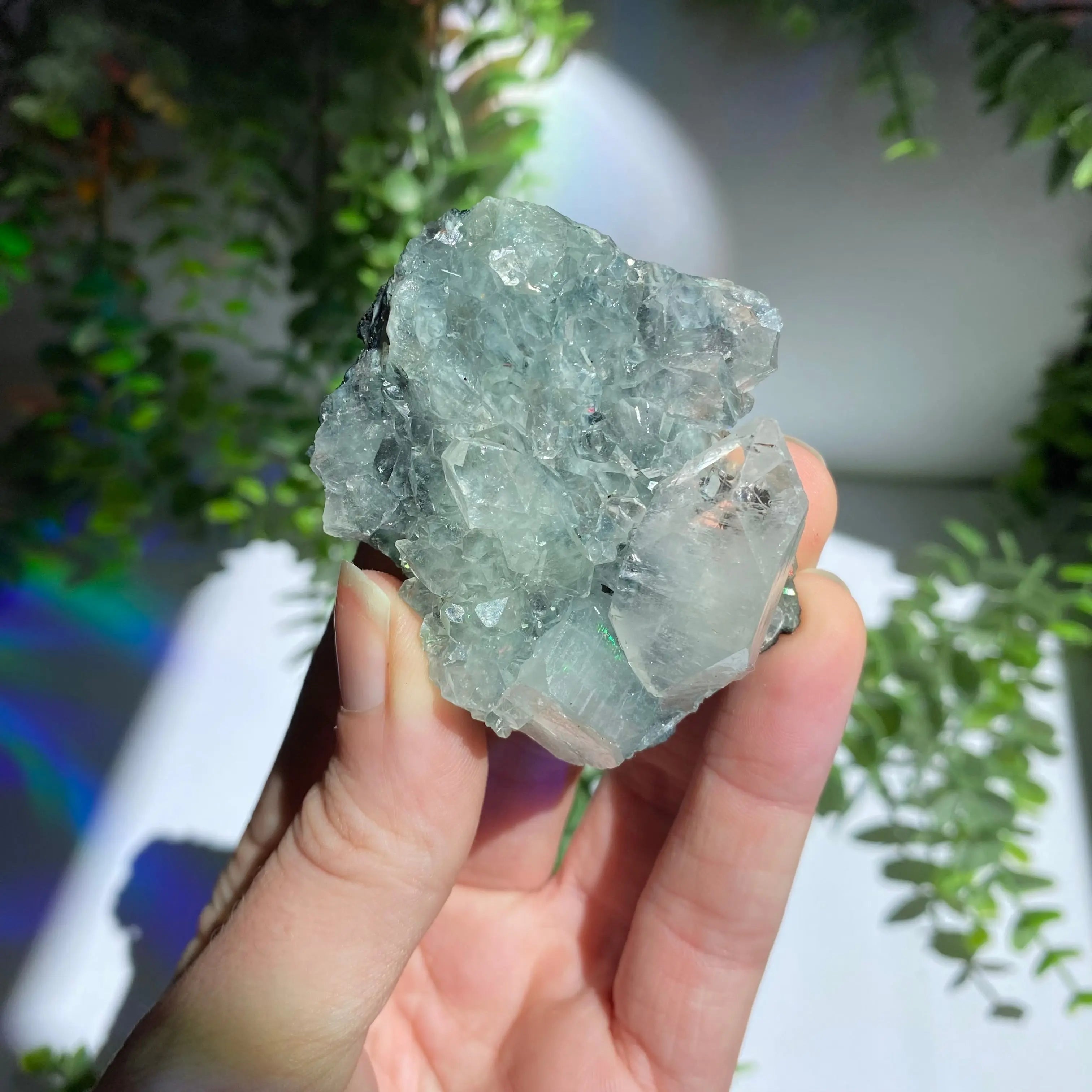 Zeolite Cluster Arabella Crystals