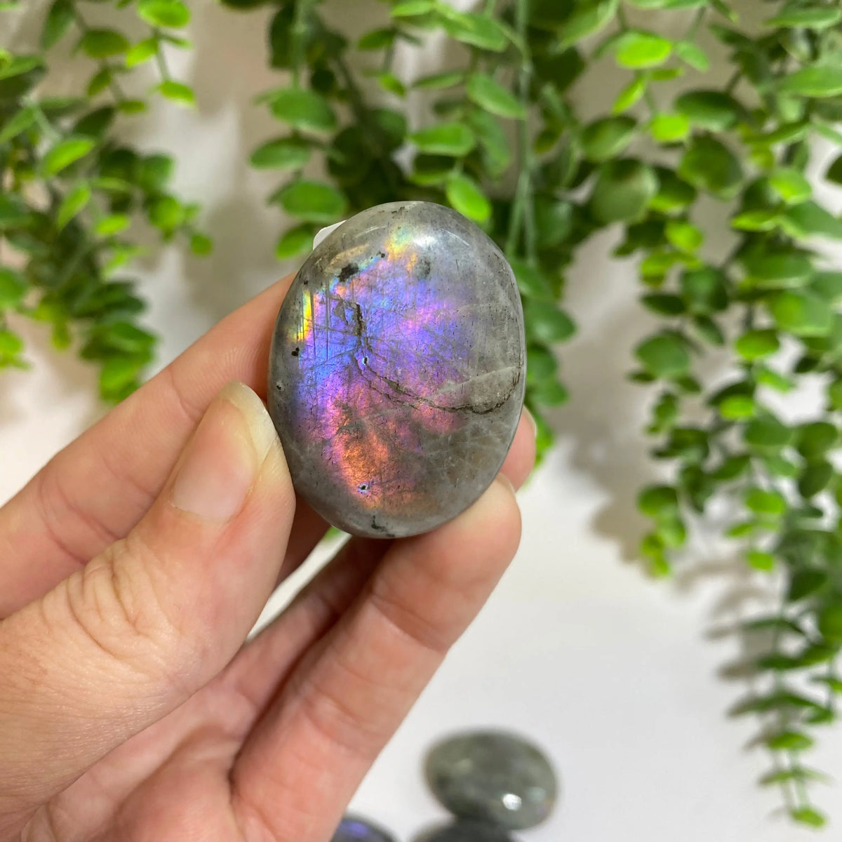 Purple Labradorite Palm Stone Arabella Crystals