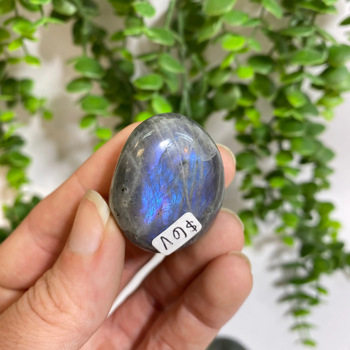 Purple Labradorite Palm Stone Arabella Crystals
