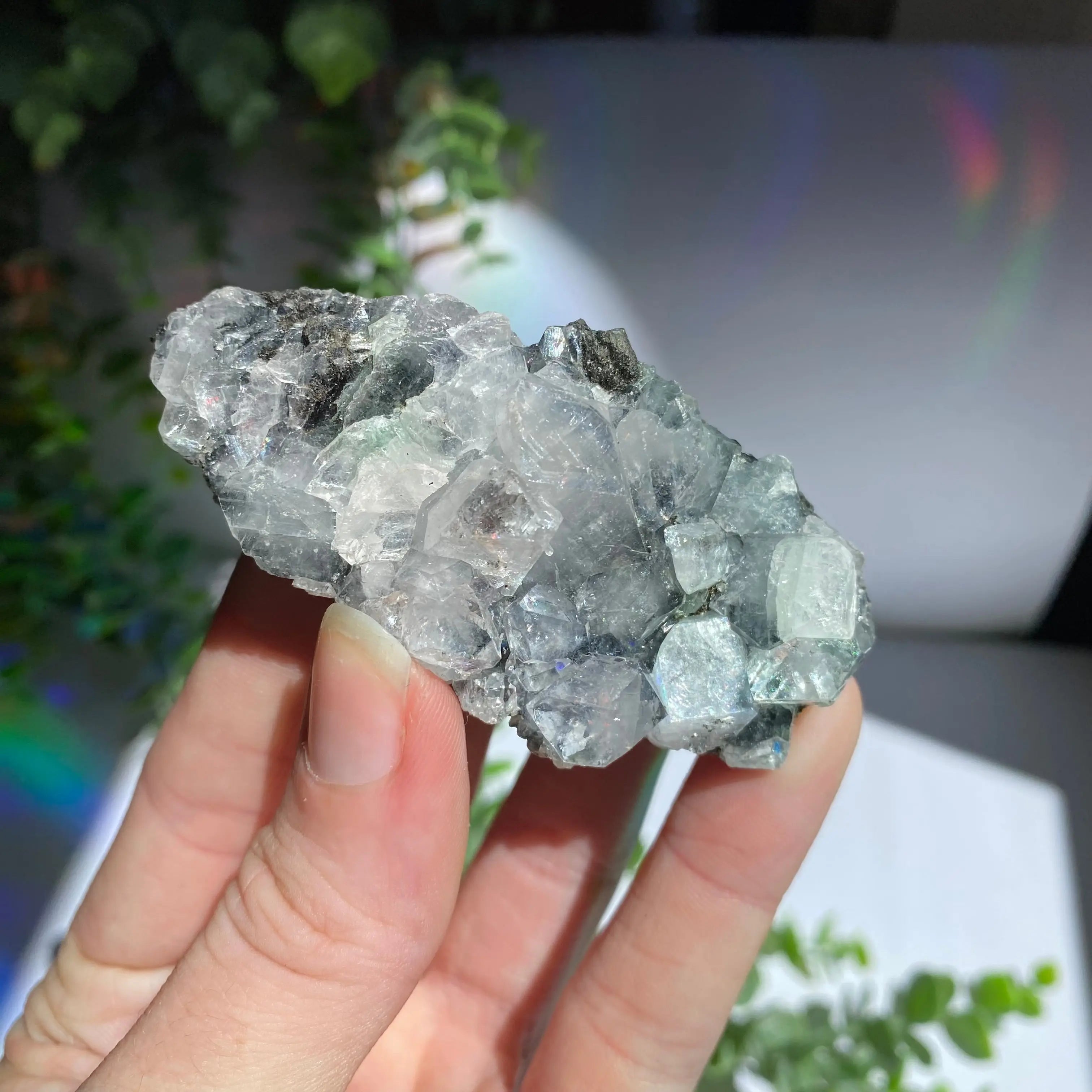 Zeolite Cluster Arabella Crystals