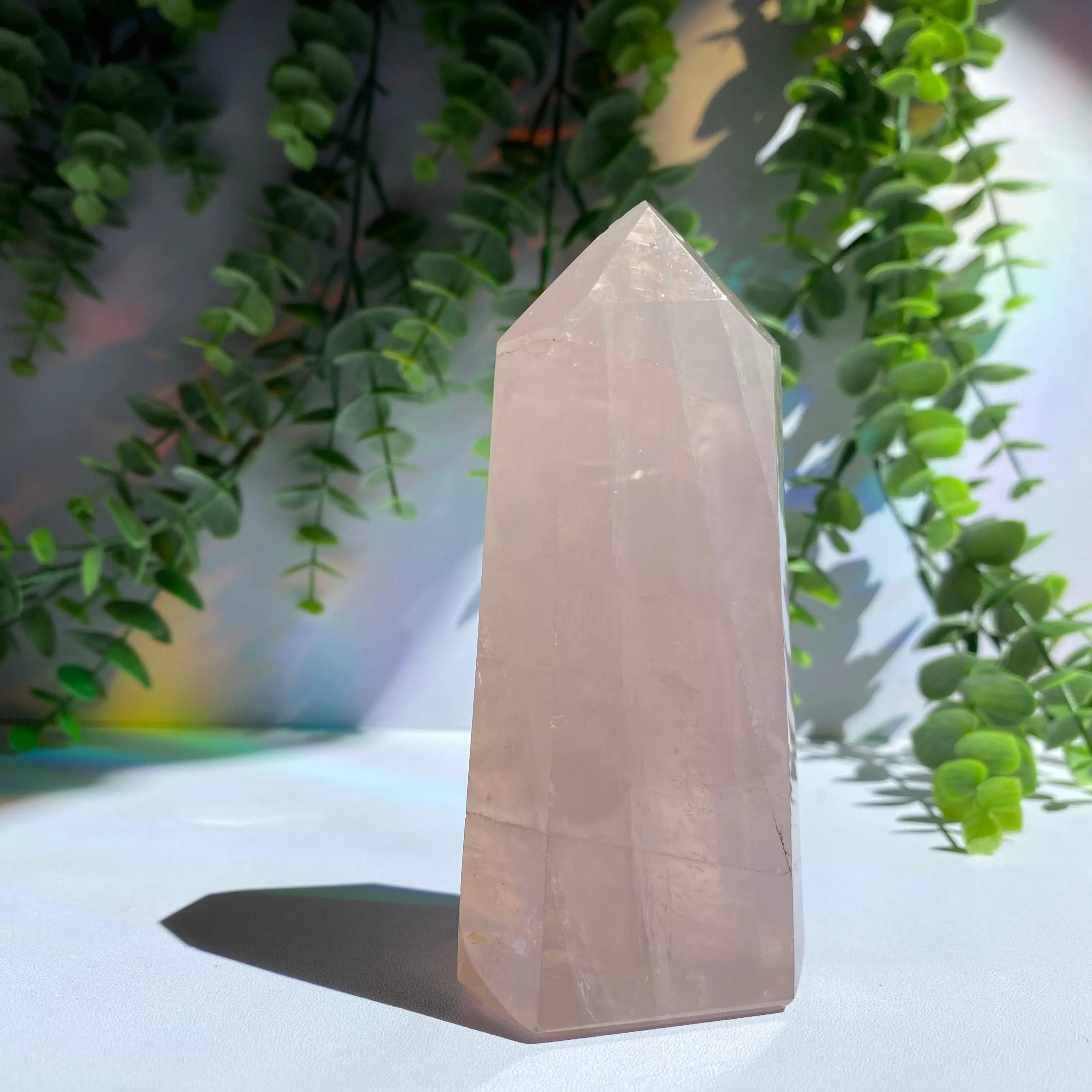 Rose Quartz Point Arabella Crystals