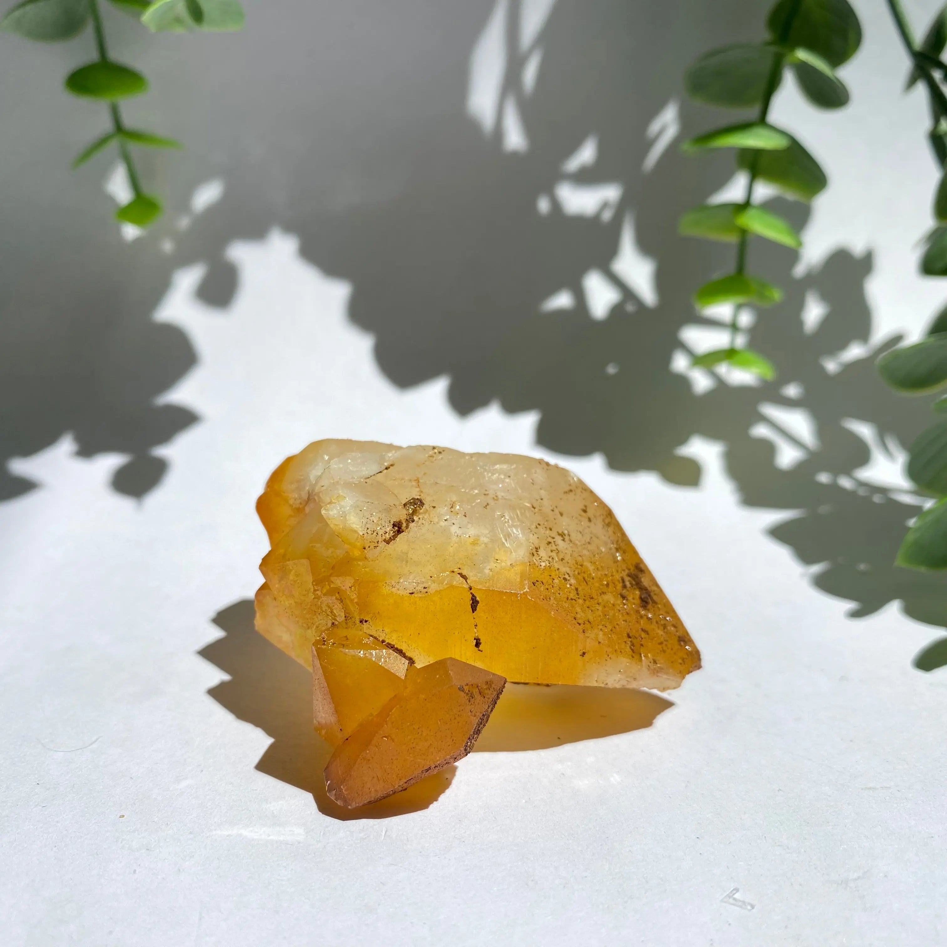 Golden Healer Cluster Arabella Crystals