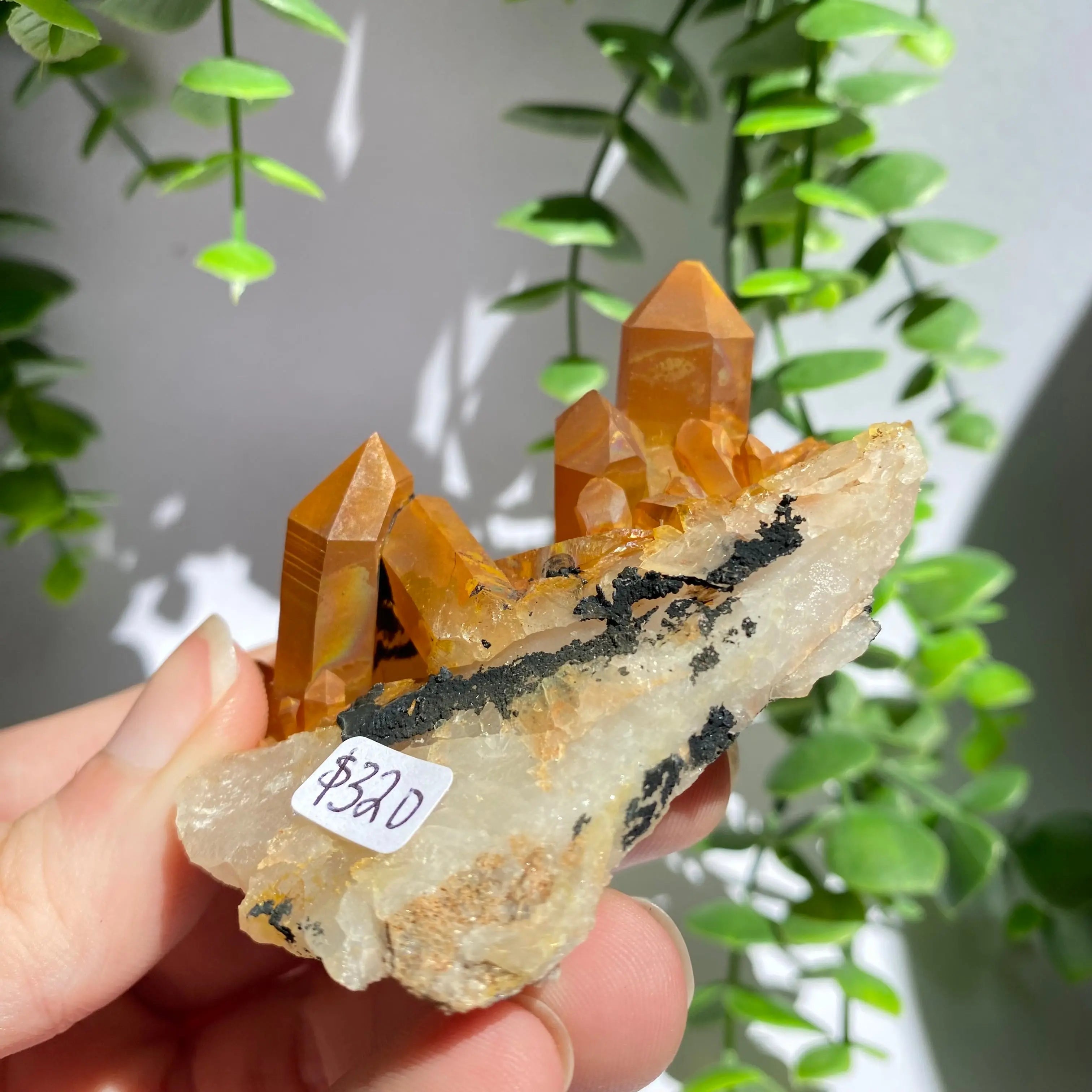 Golden Healer Cluster Arabella Crystals