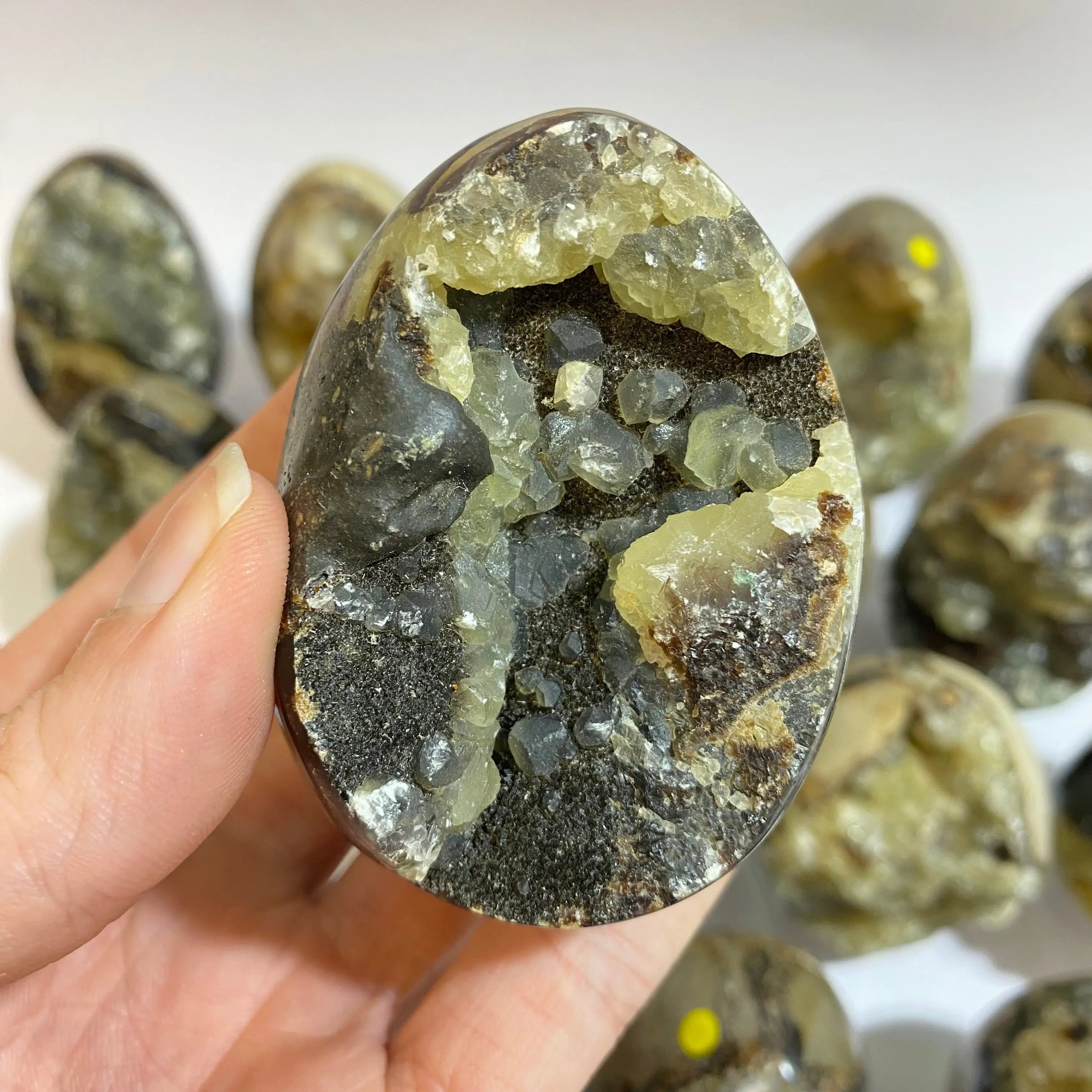 Septarian Agate Egg Arabella Crystals