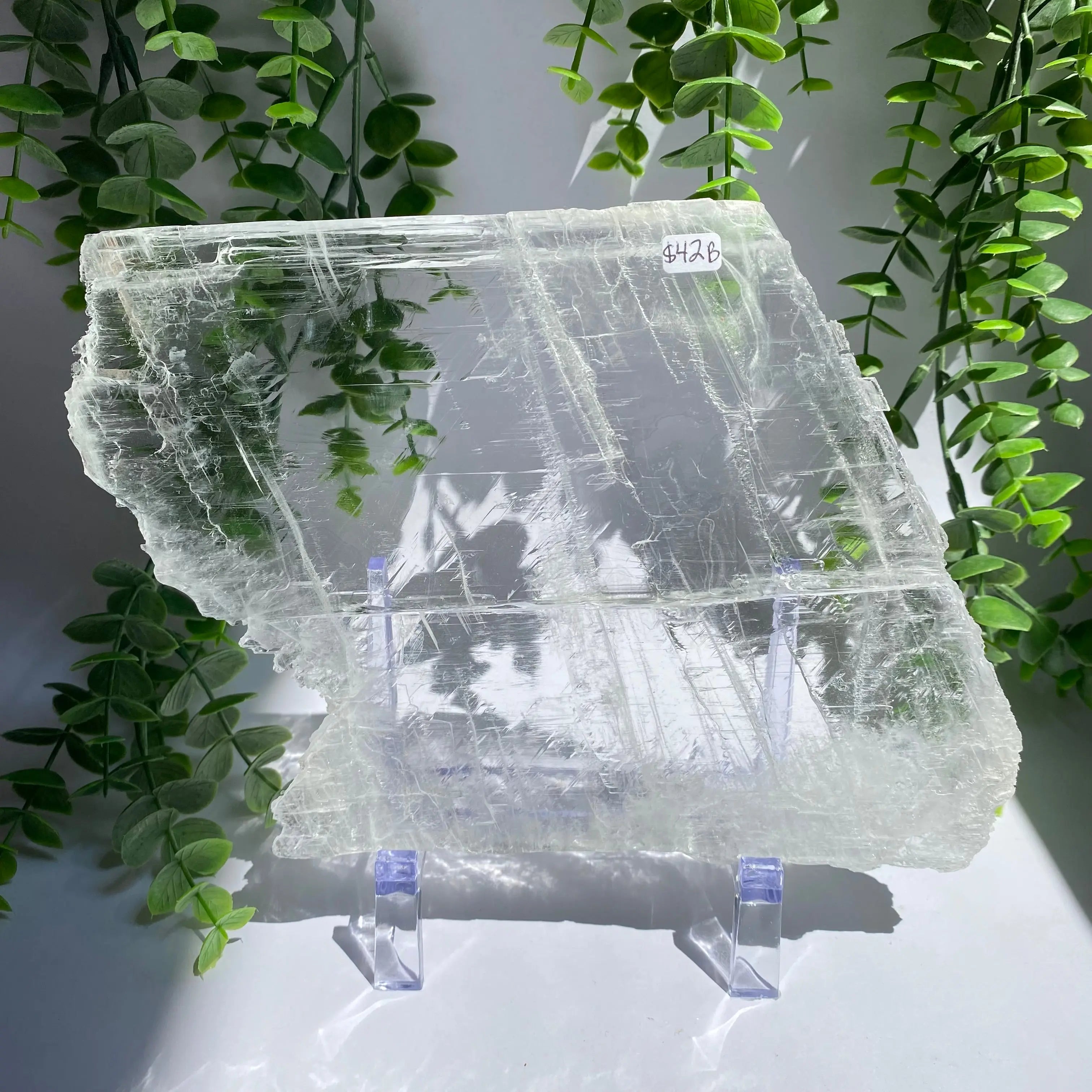 Selenite Slice Arabella Crystals