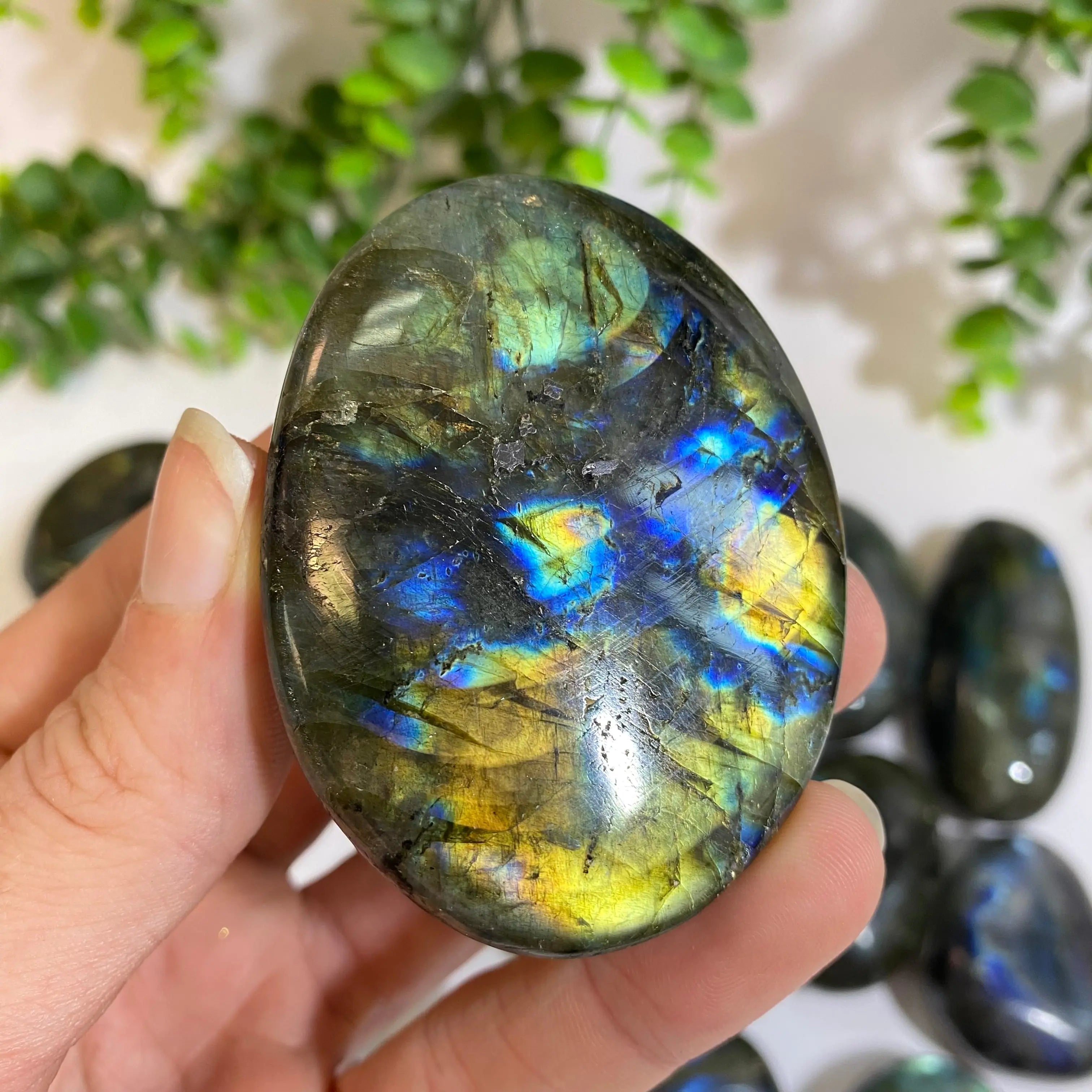 Labradorite Palm Stone Arabella Crystals