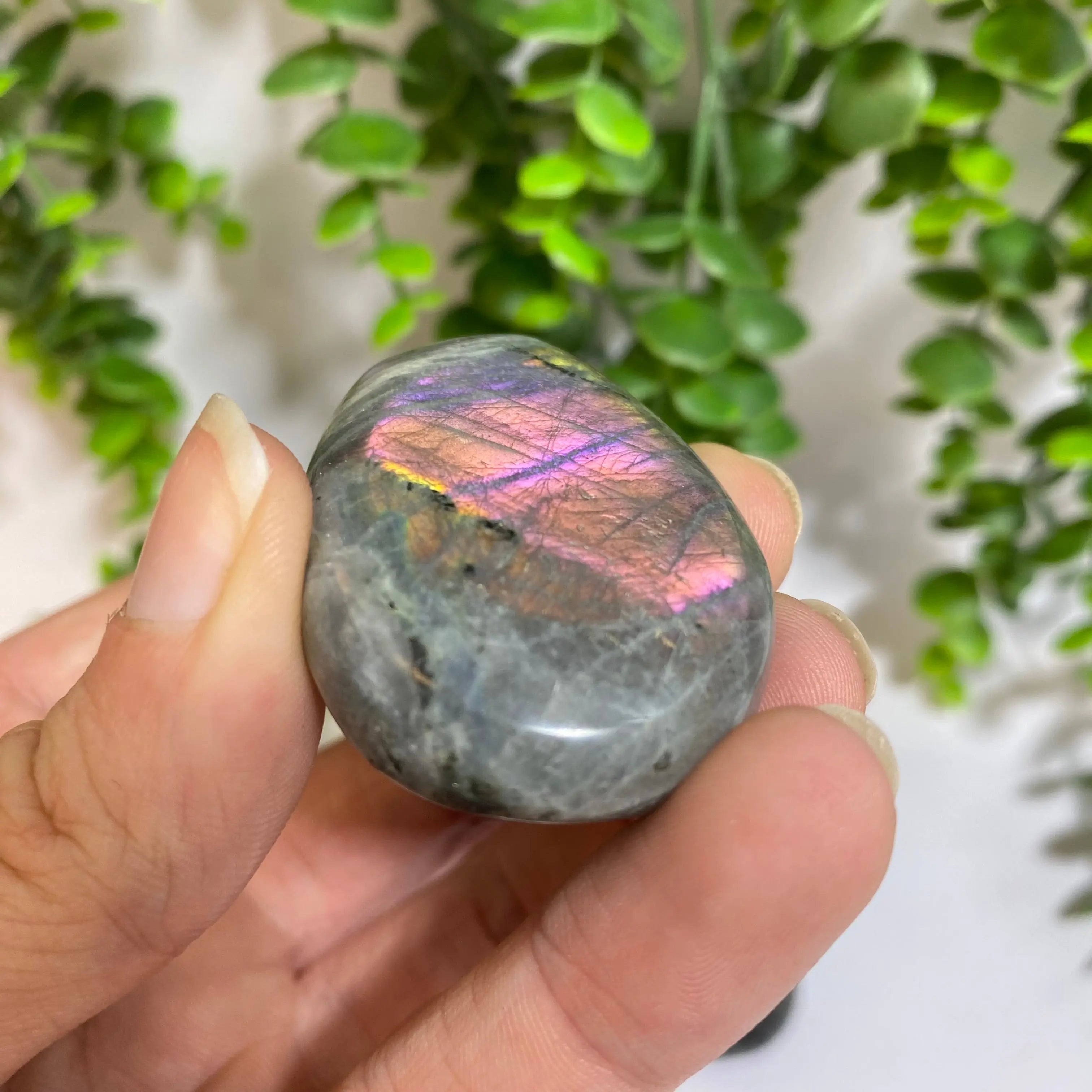 Purple Labradorite Palm Stone Arabella Crystals