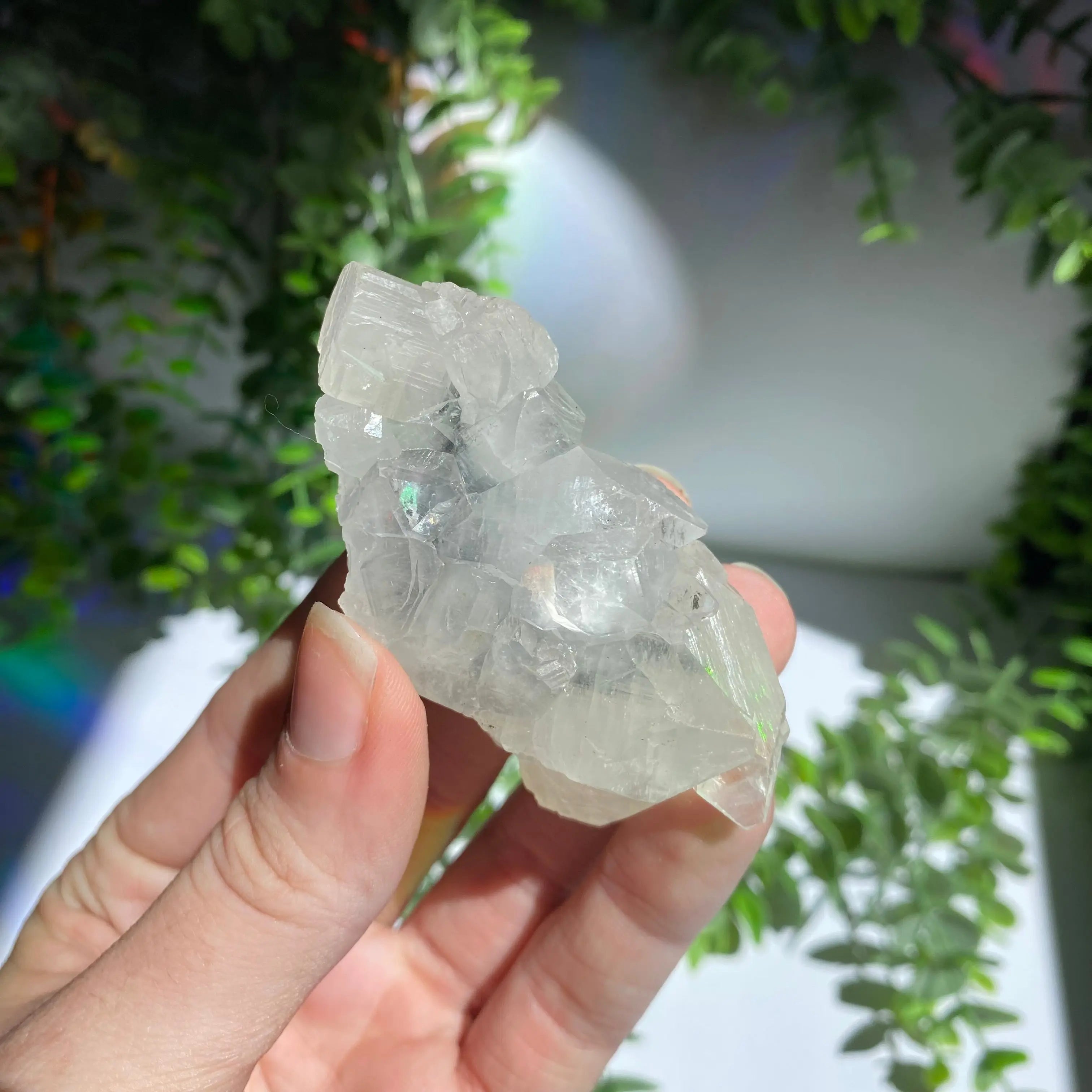 Zeolite Cluster Arabella Crystals