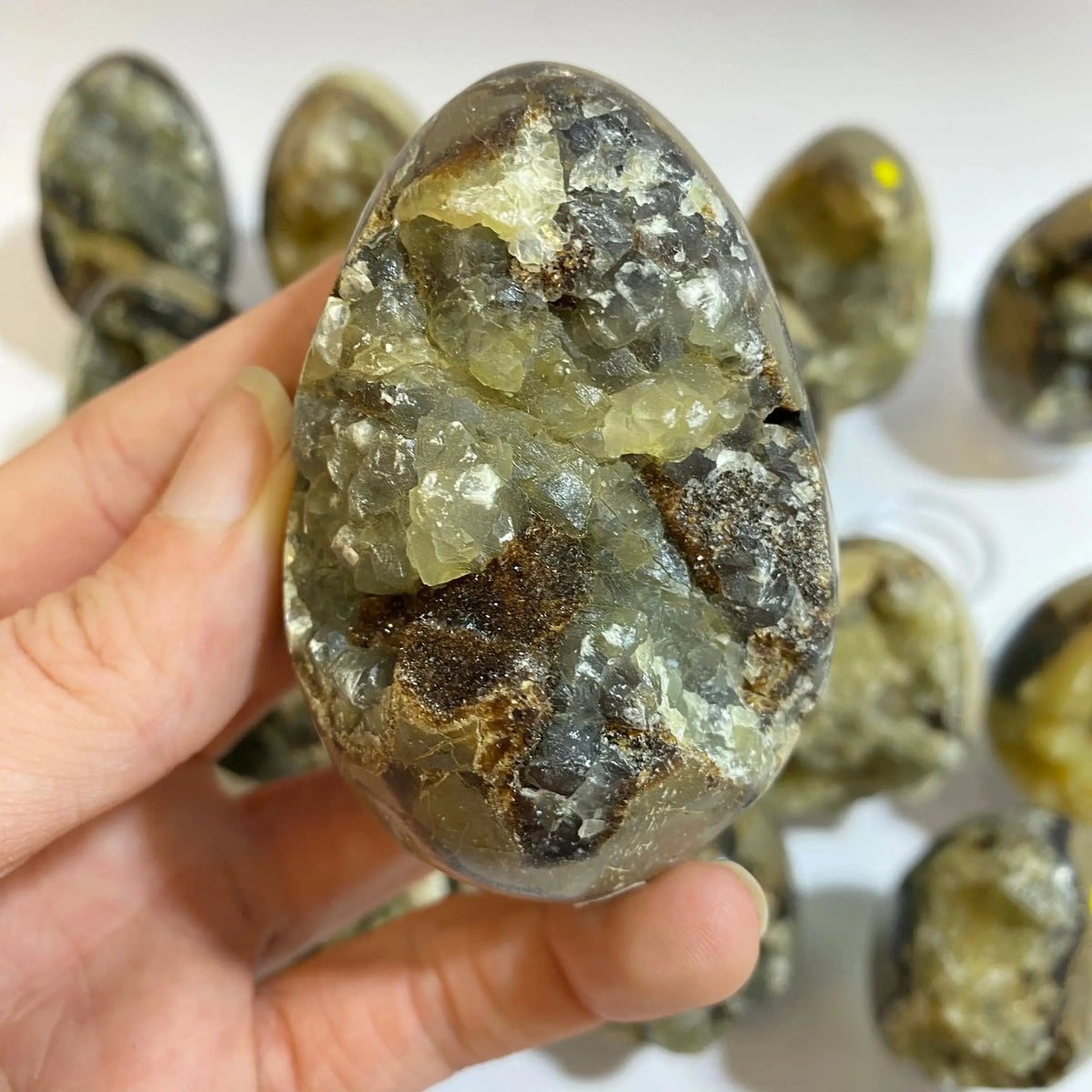 Septarian Agate Egg Arabella Crystals