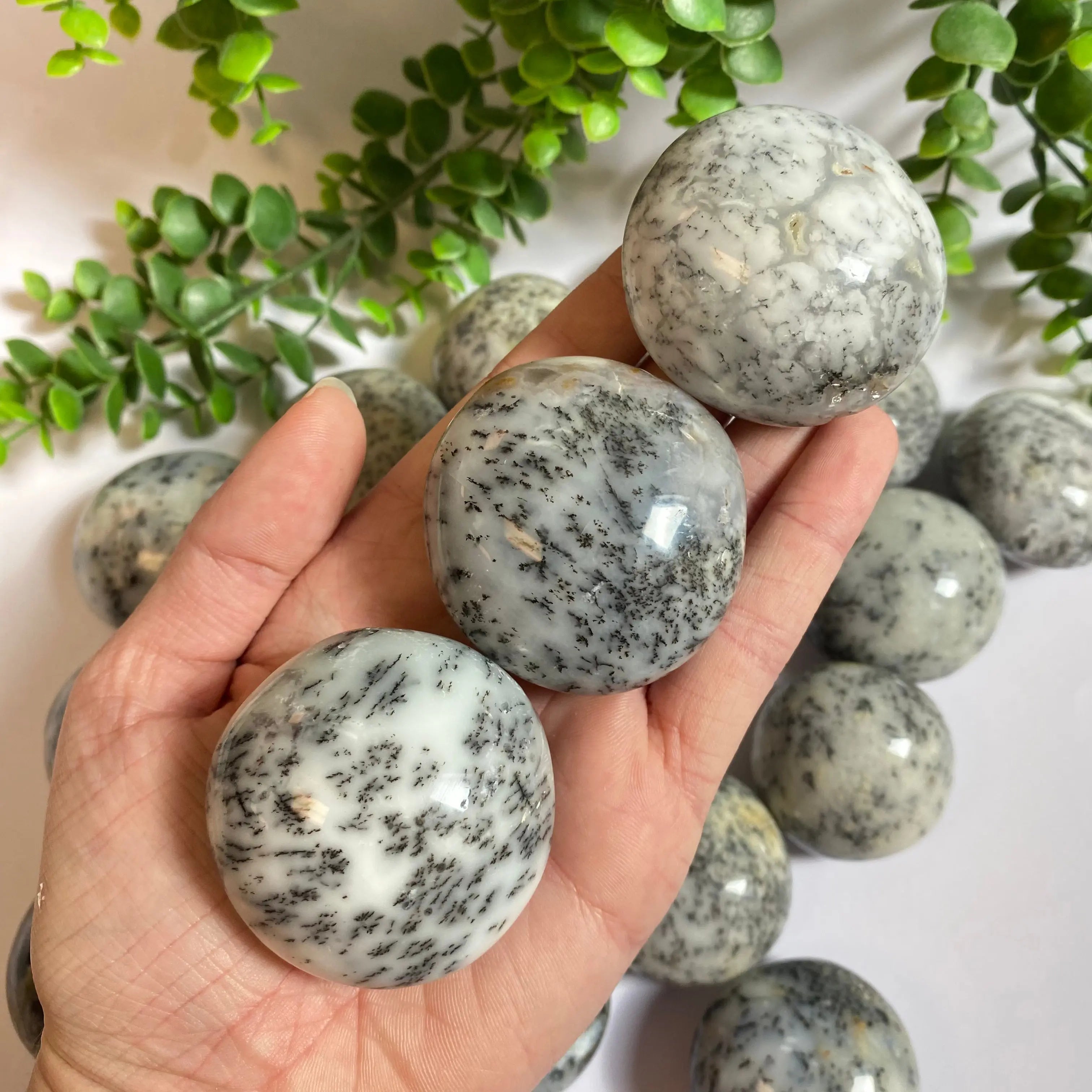 Dendritic Quartz Palm Stone Arabella Crystals