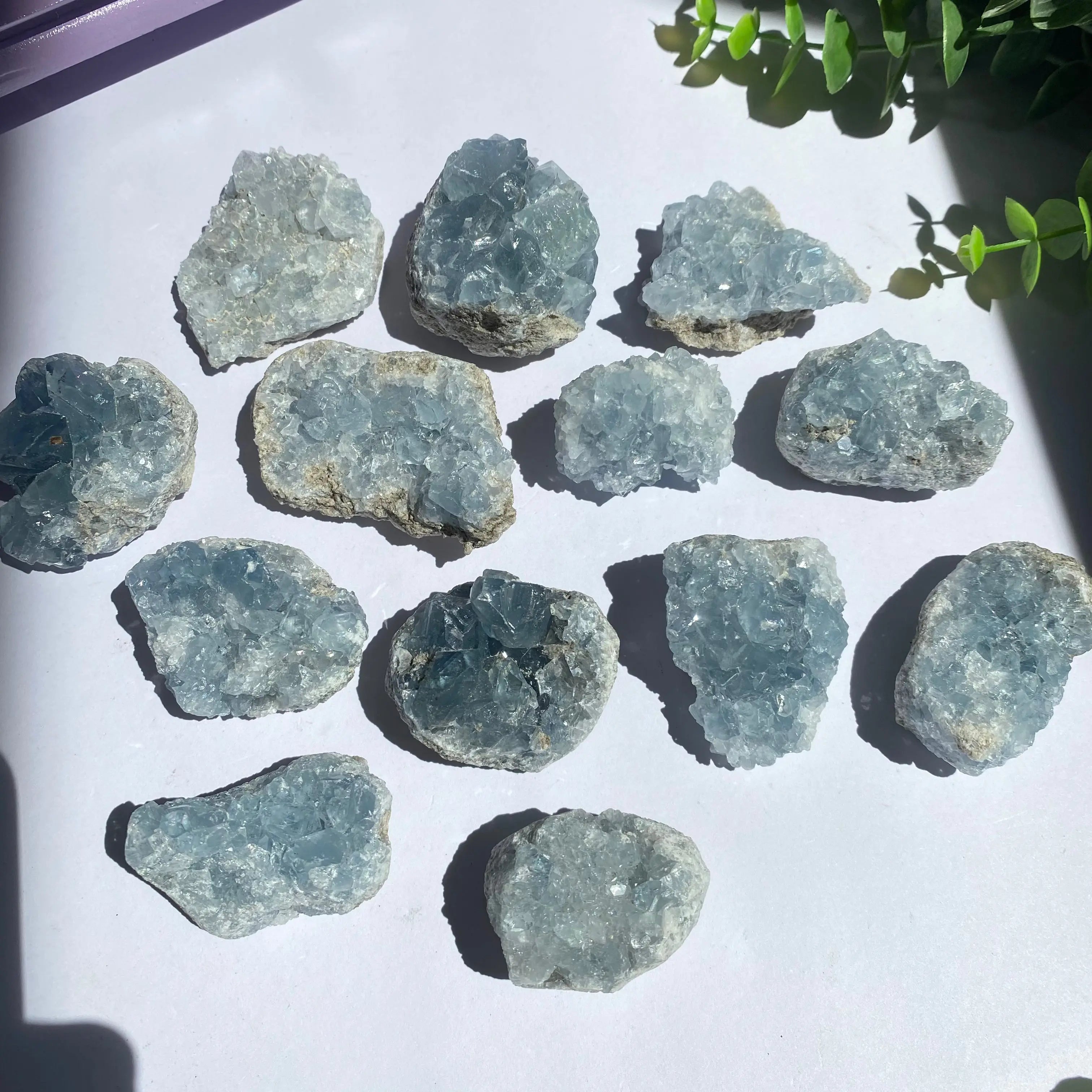 Celestite Cluster Arabella Crystals