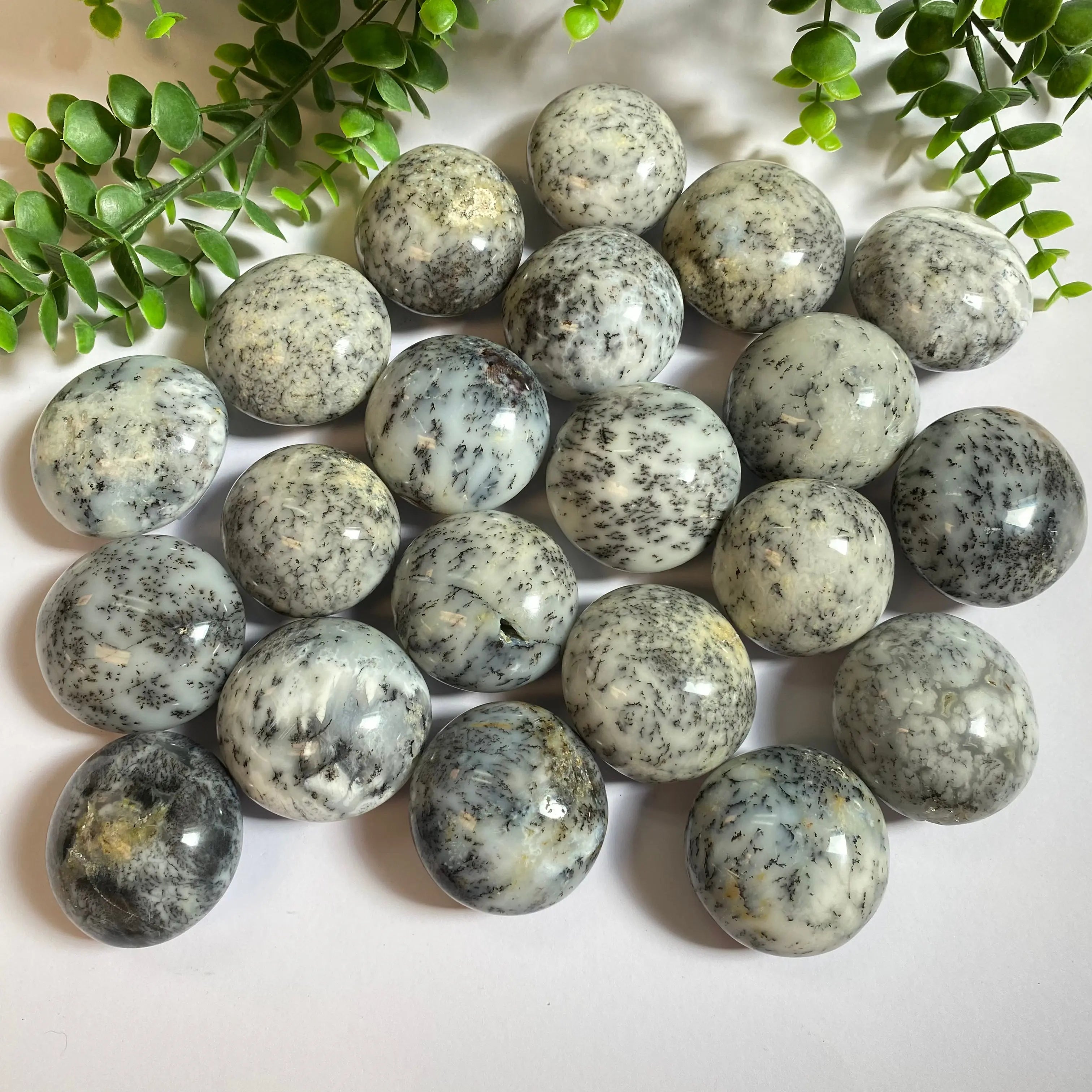 Dendritic Quartz Palm Stone Arabella Crystals