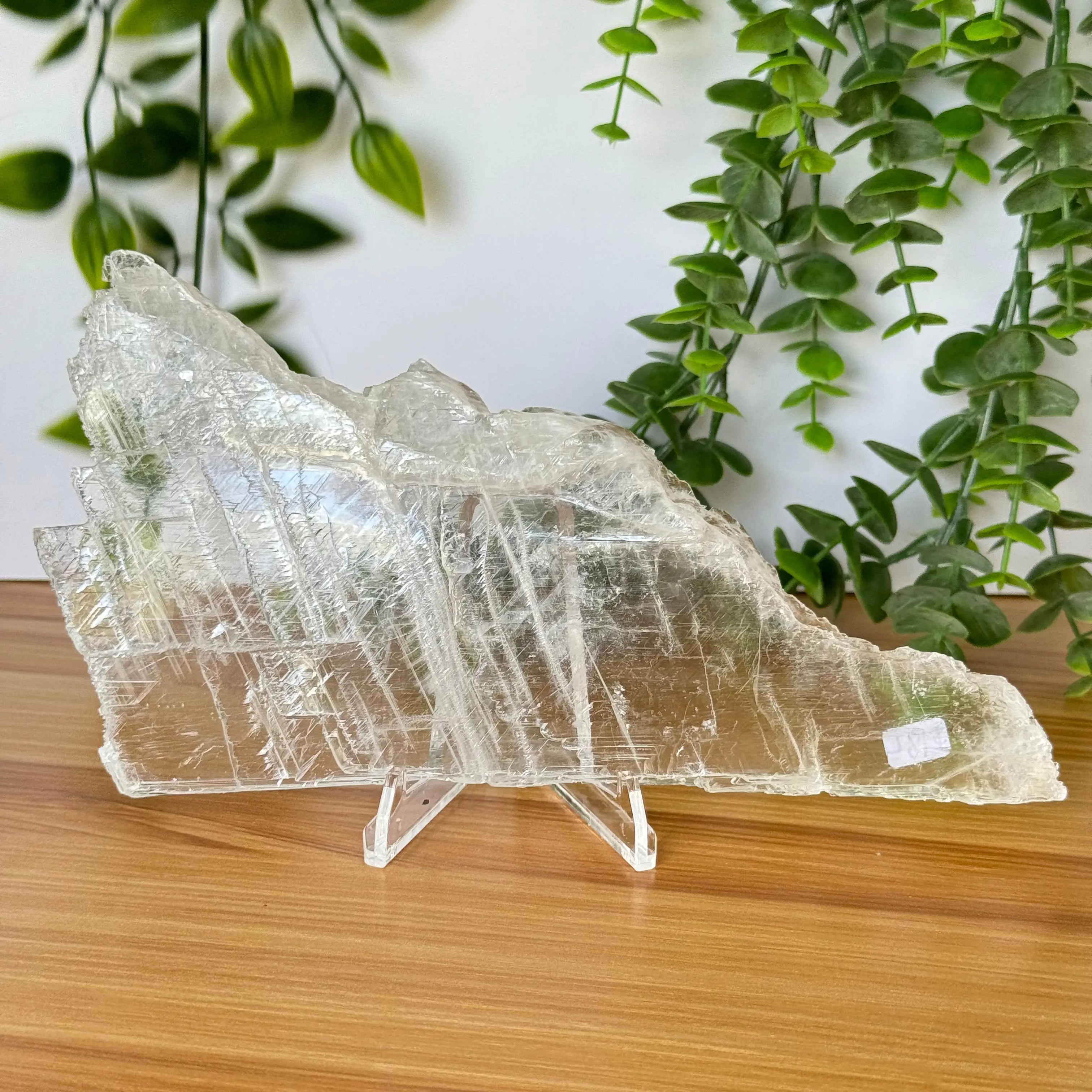 Selenite Slice Arabella Crystals