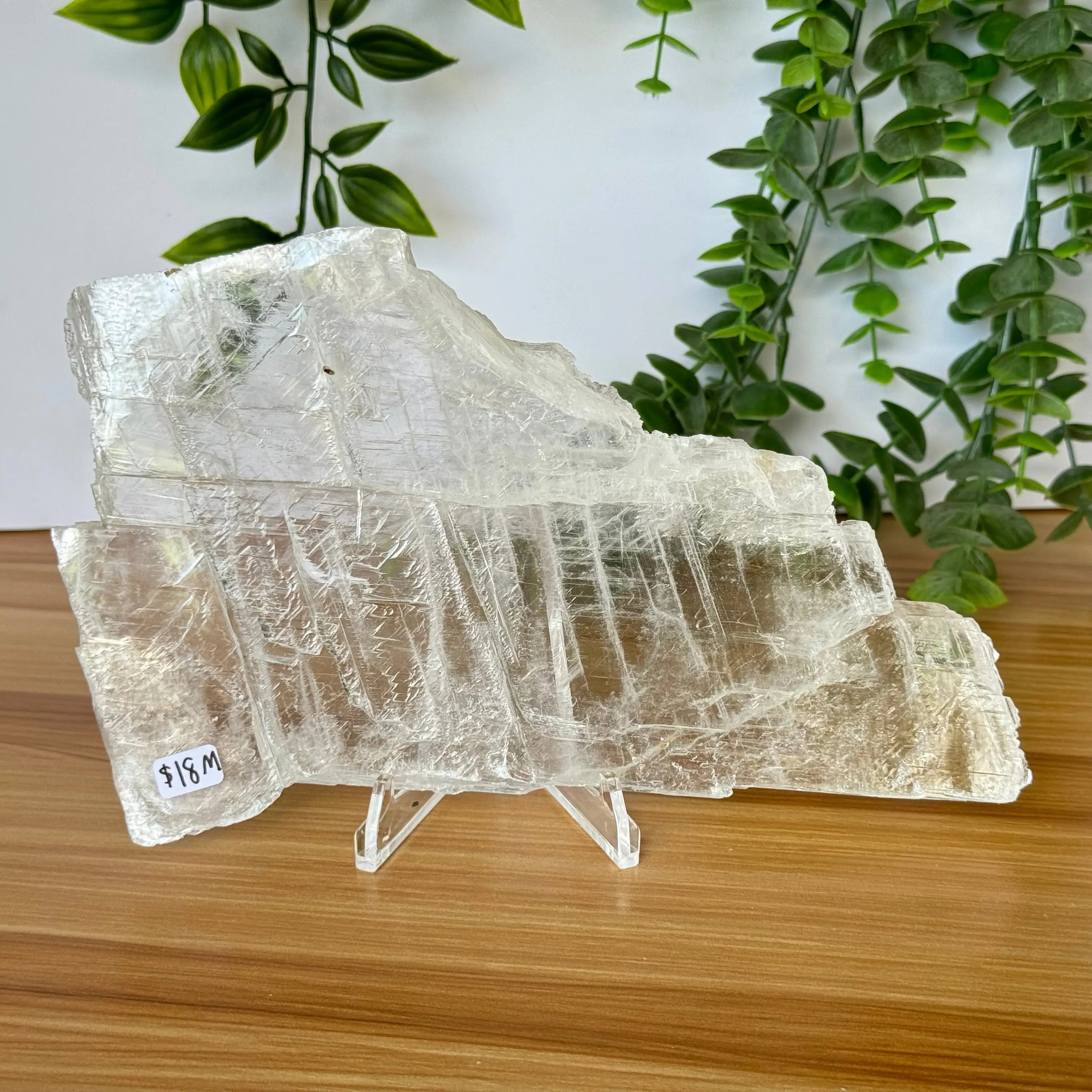 Selenite Slice Arabella Crystals