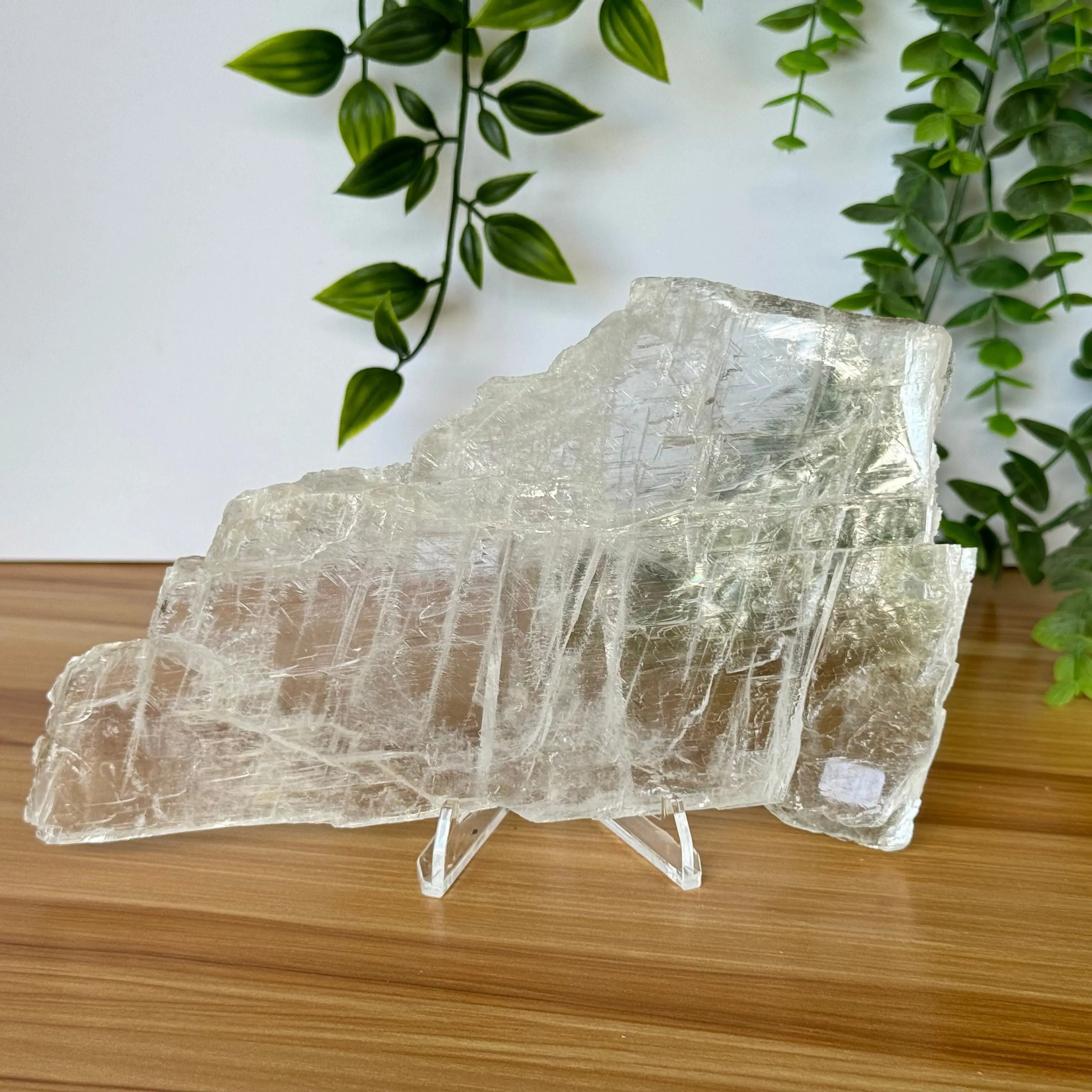 Selenite Slice Arabella Crystals
