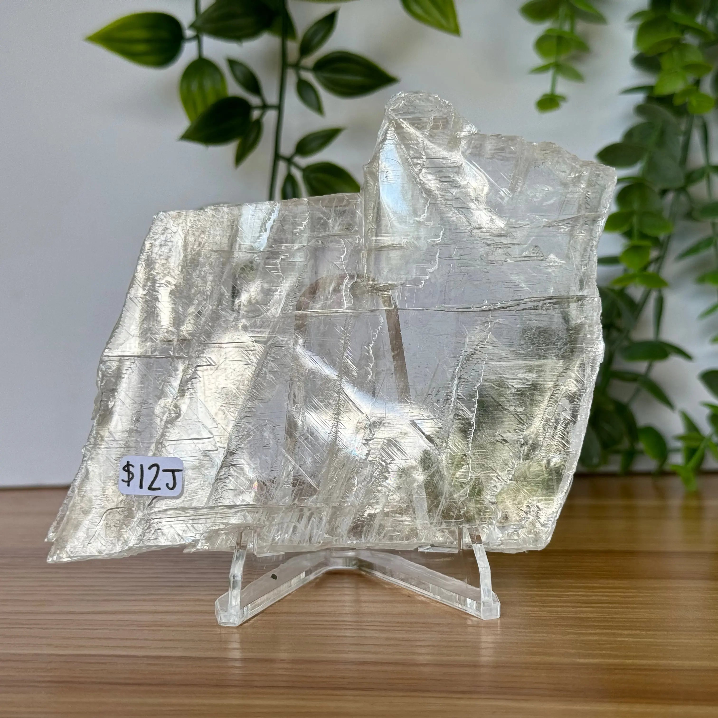 Selenite Slice Arabella Crystals