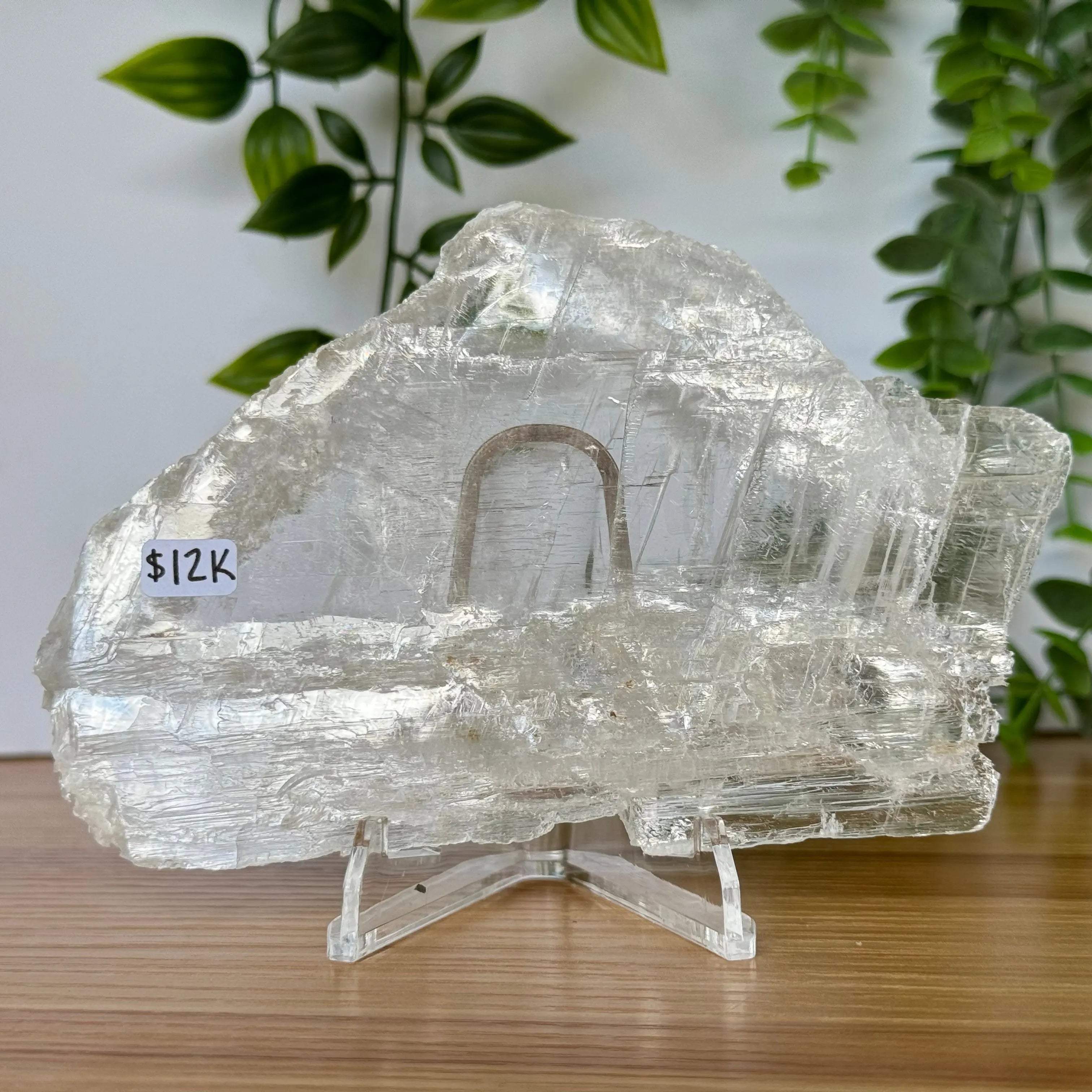 Selenite Slice Arabella Crystals