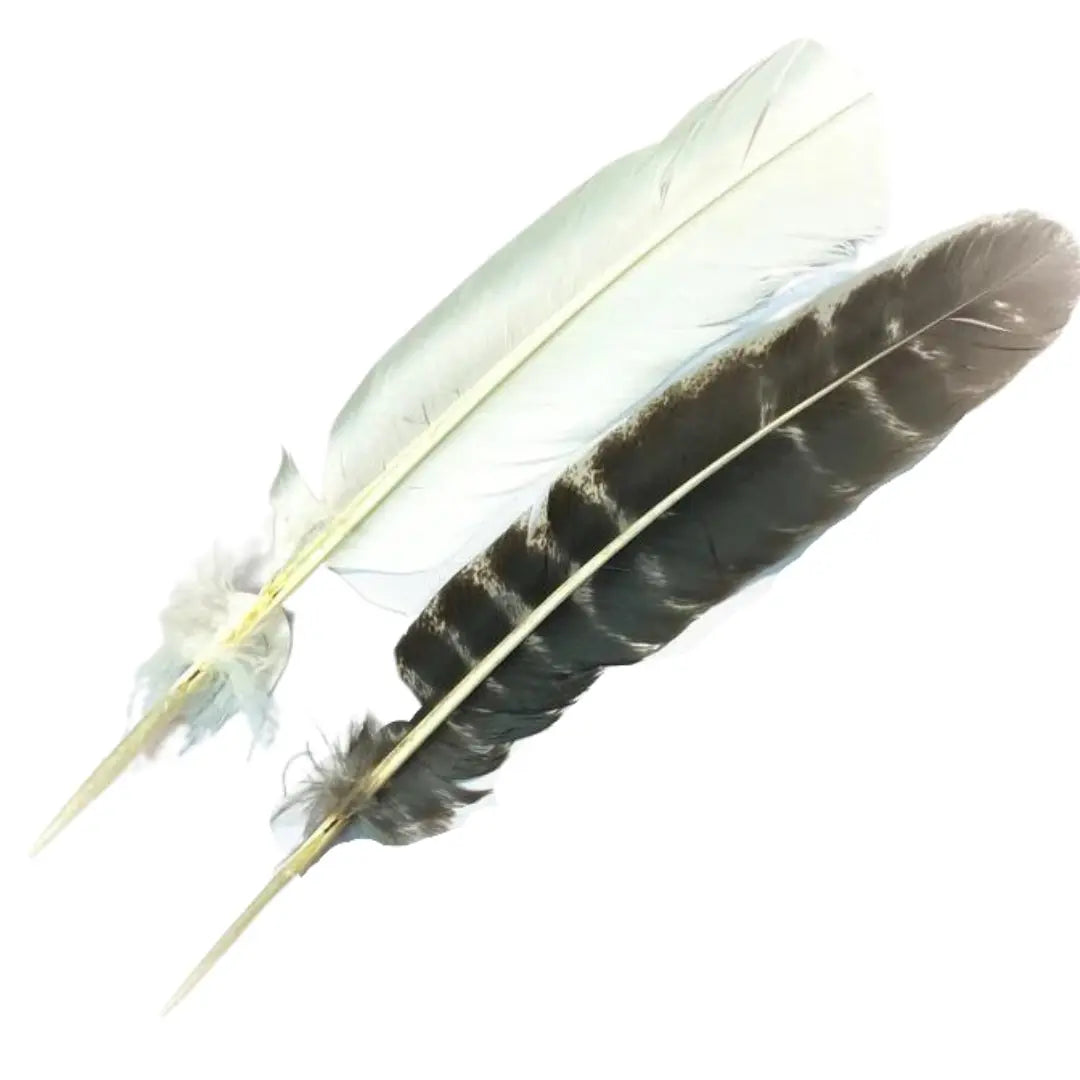 Turkey Feather for Smoke Cleansing Arabella Crystals