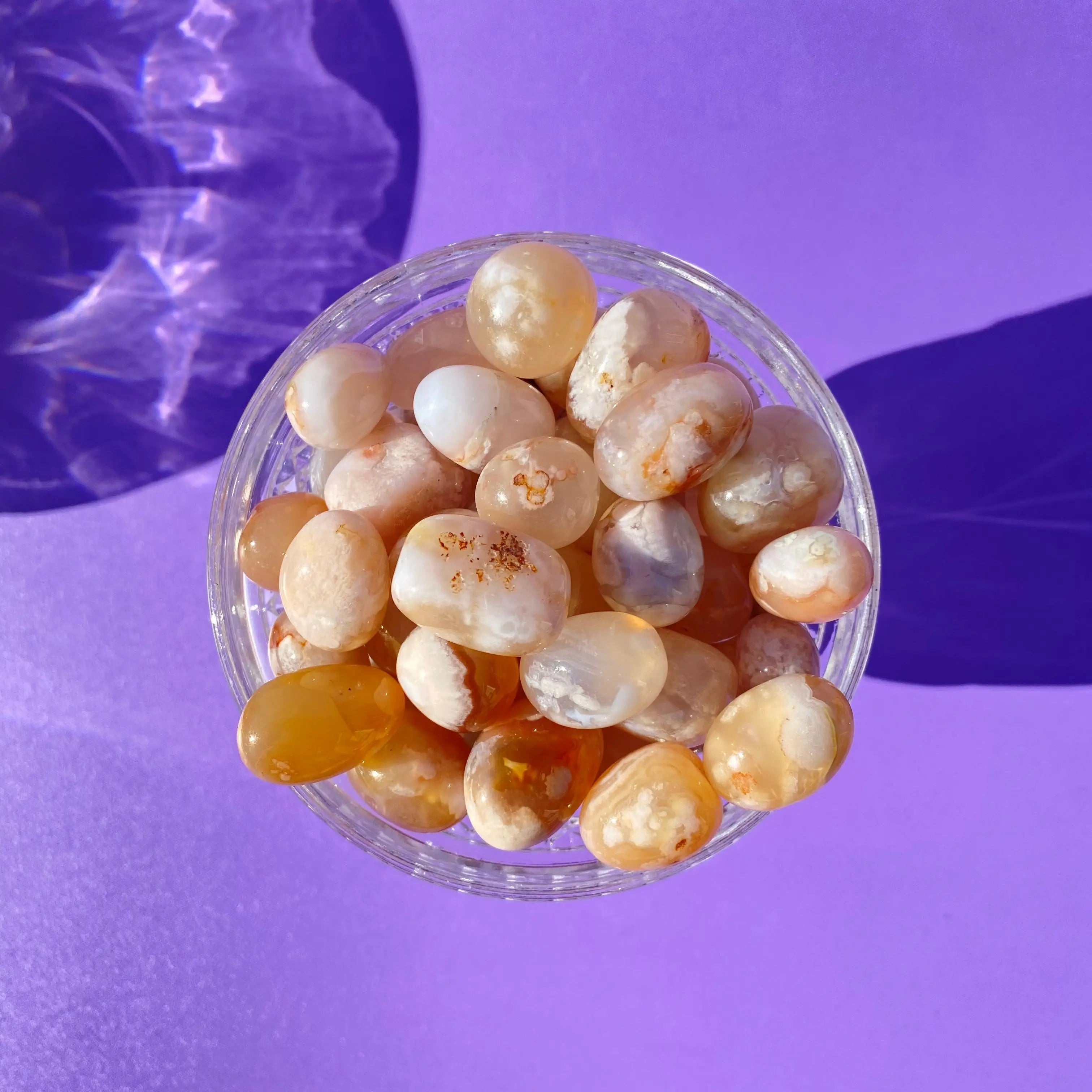 Flower Agate Pocket Stone Arabella Crystals