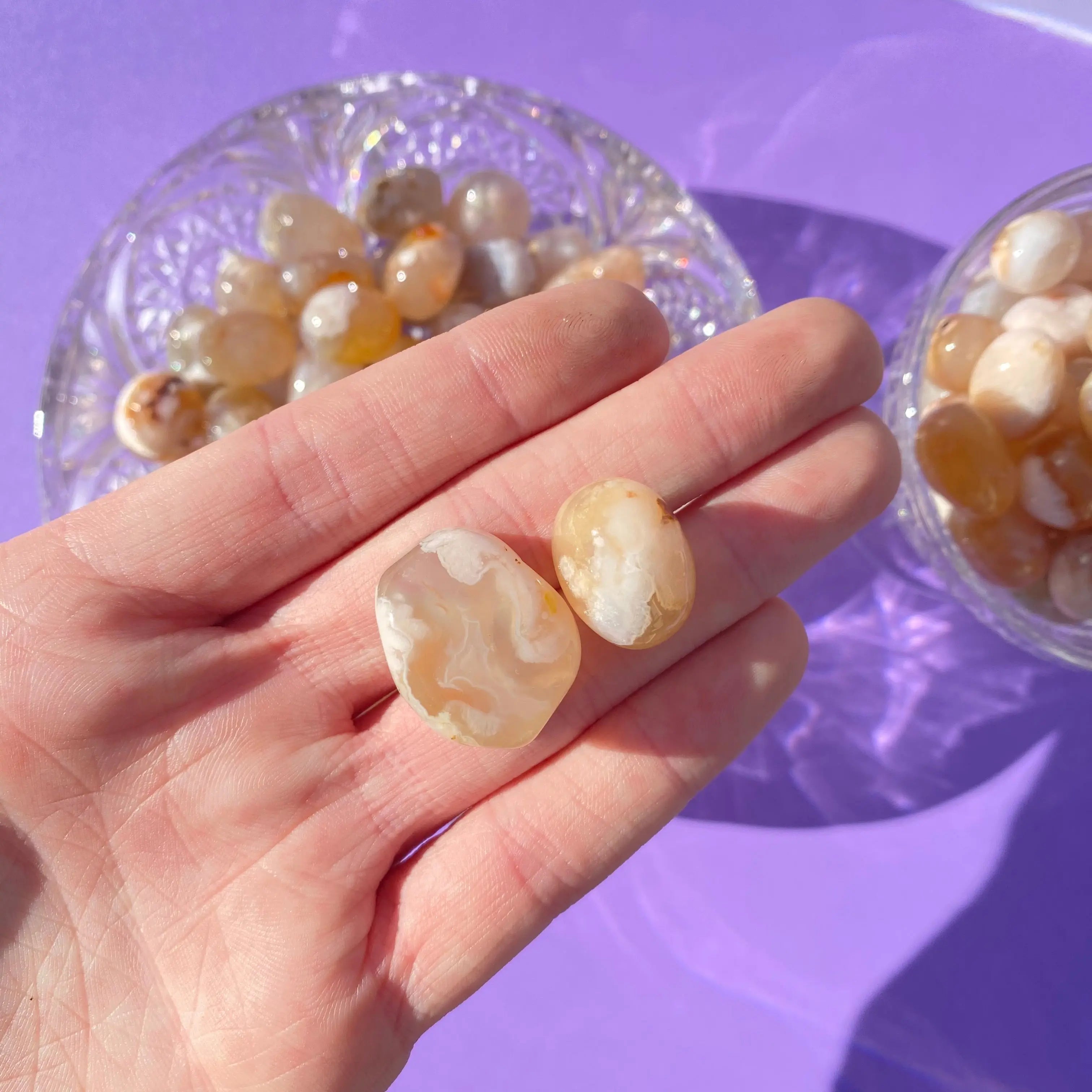 Flower Agate Pocket Stone Arabella Crystals