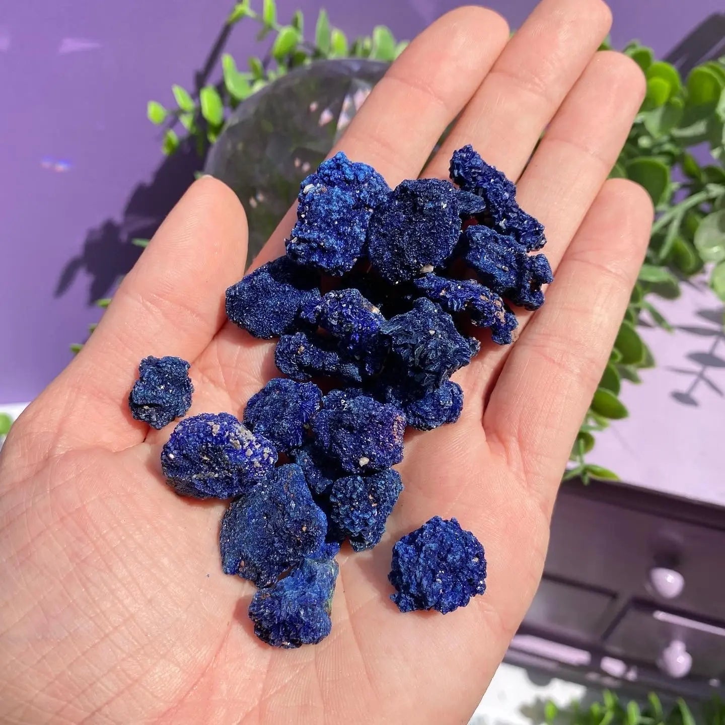 Azurite Cluster Arabella Crystals