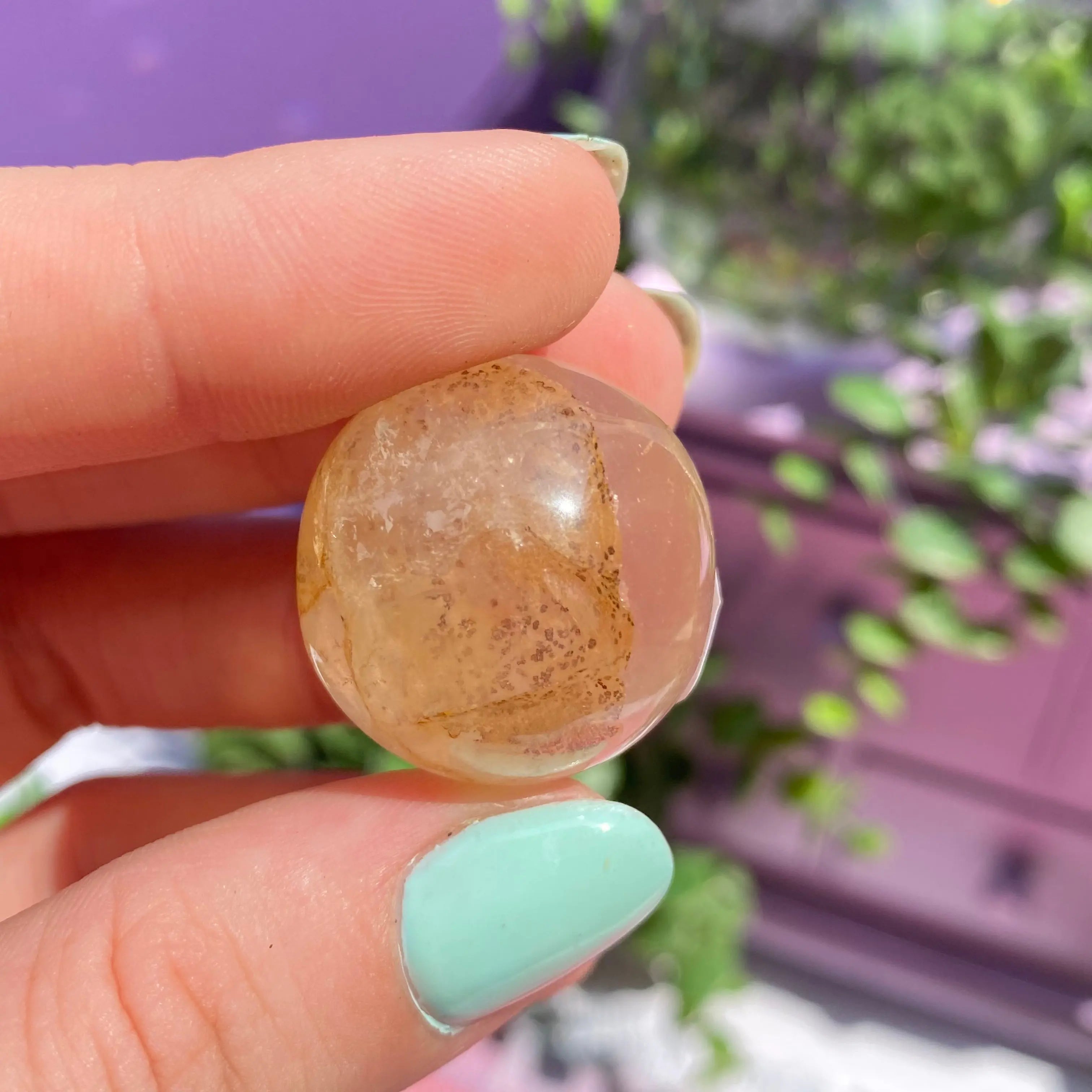 Dendritic Quartz Sphere Arabella Crystals