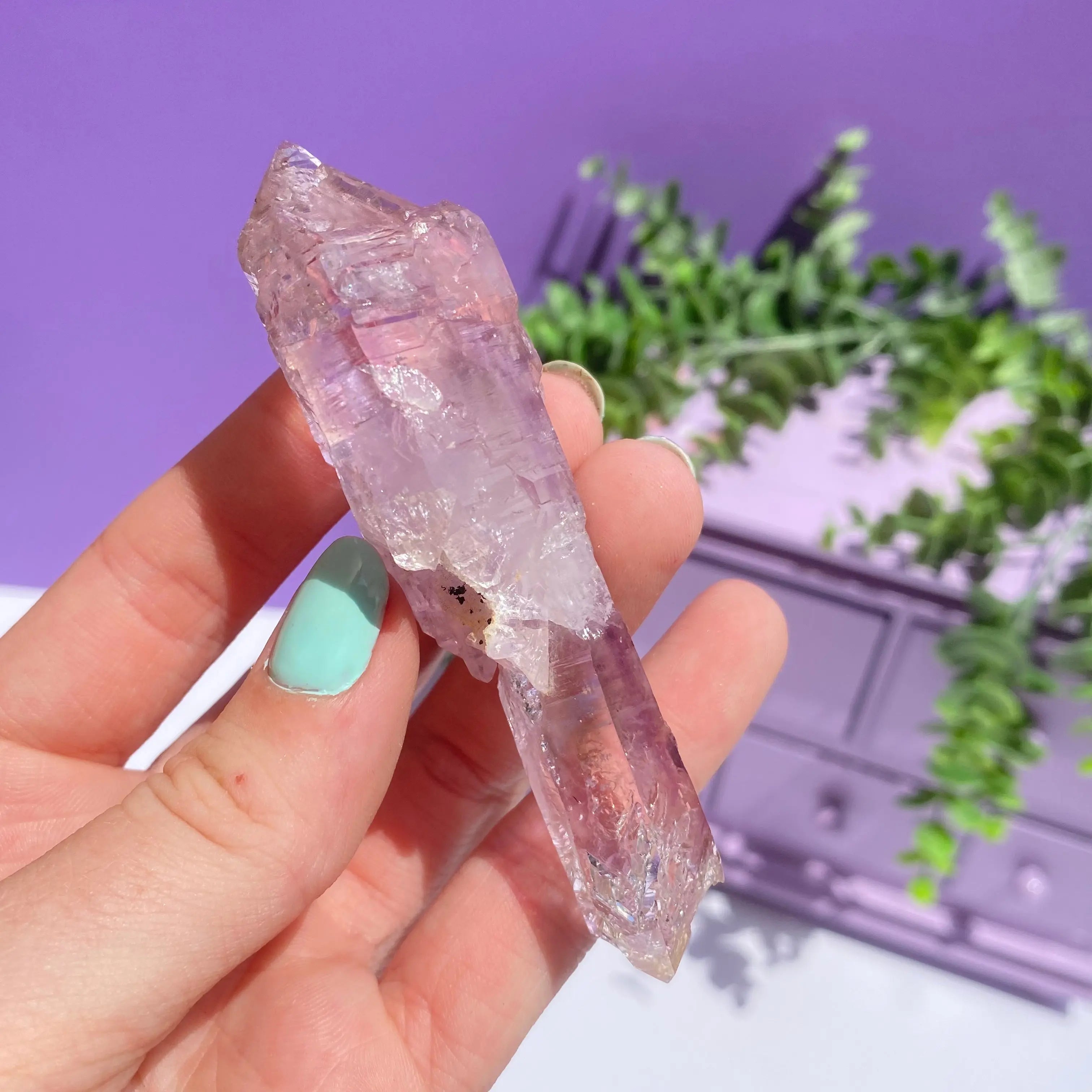 Vera Cruz Amethyst Arabella Crystals