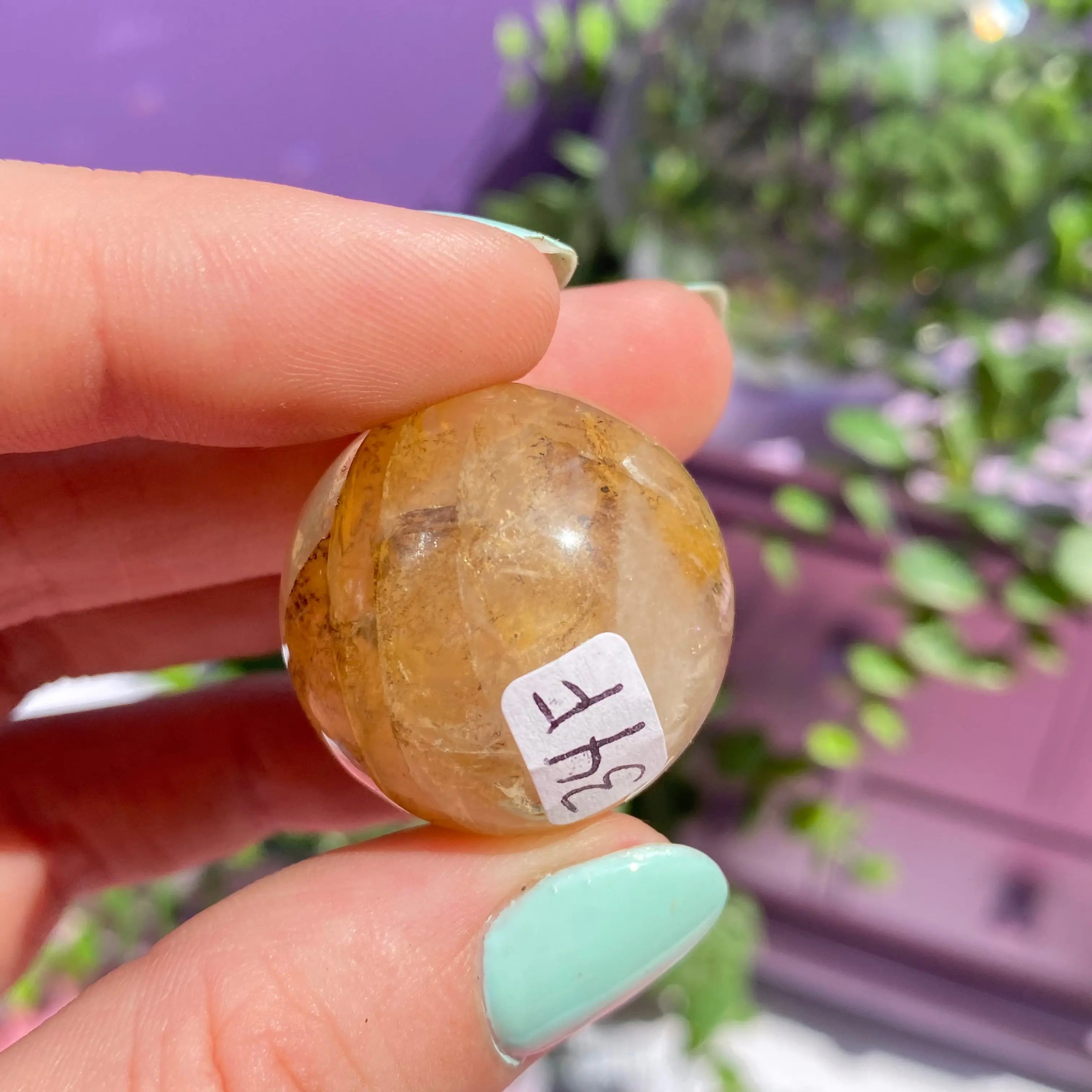 Dendritic Quartz Sphere Arabella Crystals