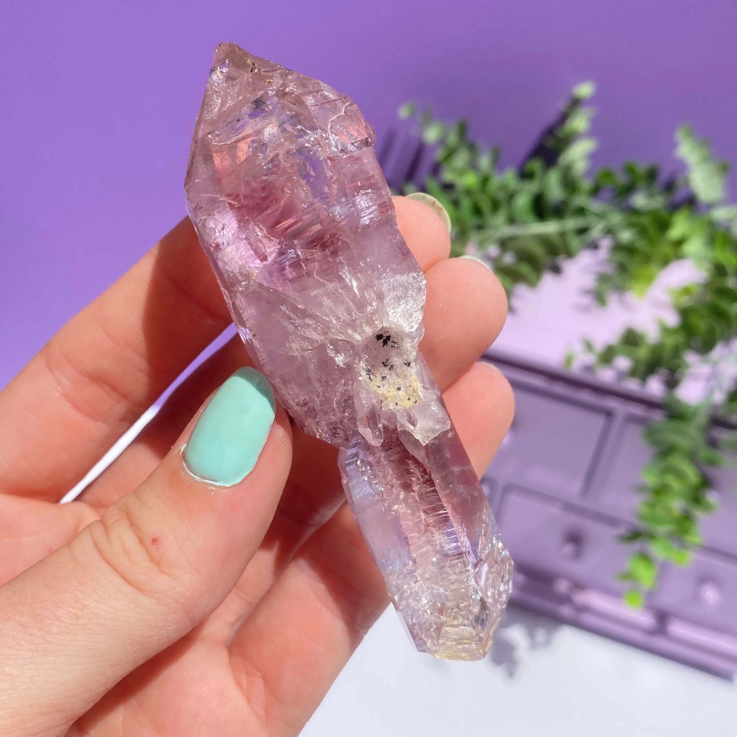 Vera Cruz Amethyst Arabella Crystals
