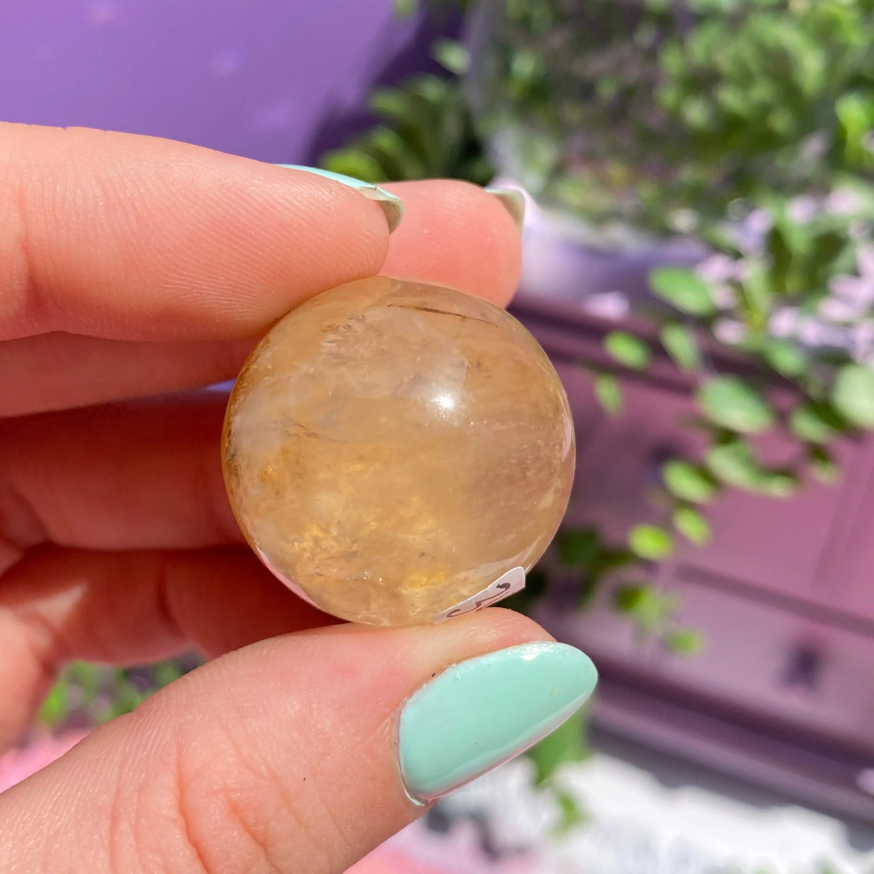 Dendritic Quartz Sphere Arabella Crystals