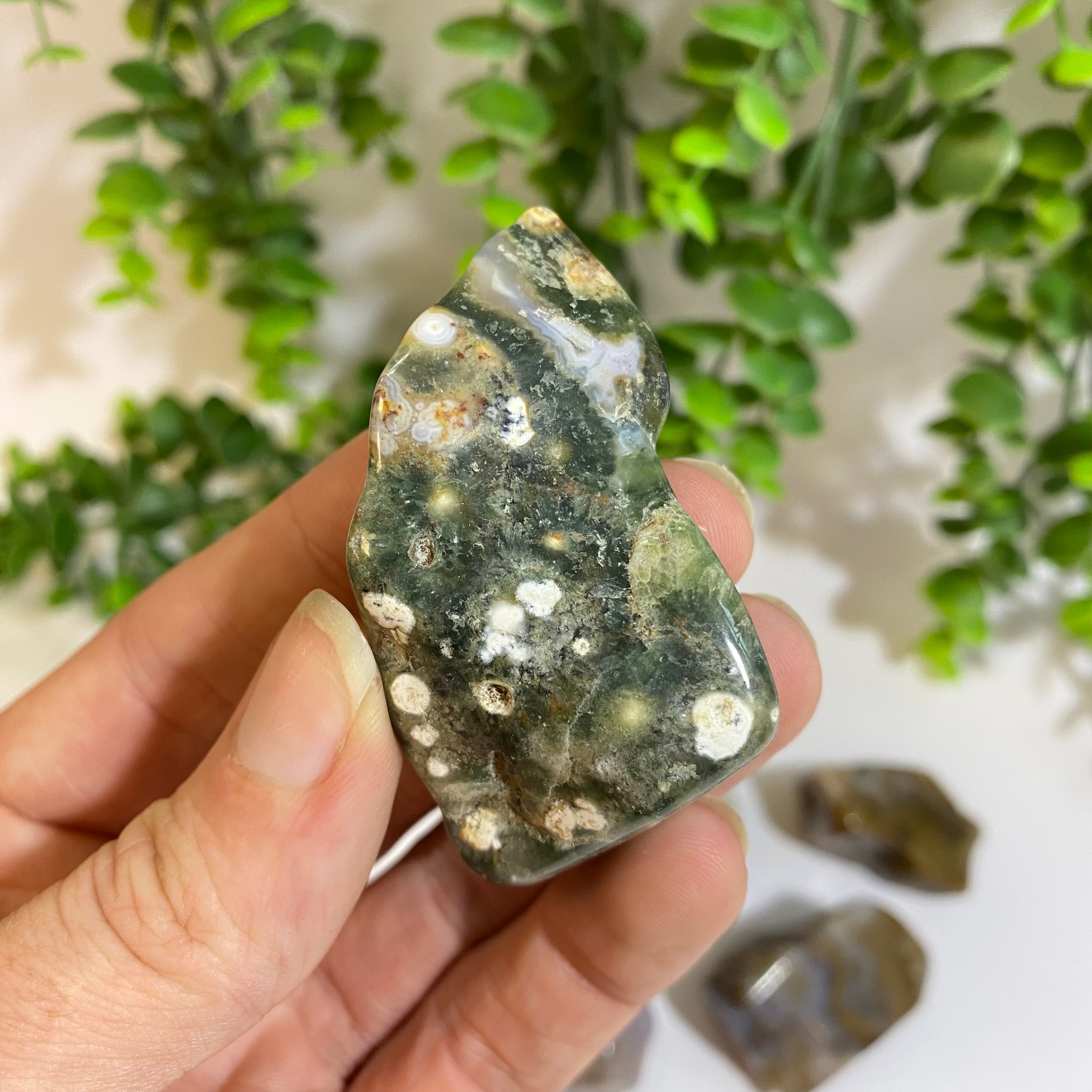 Ocean Jasper Free Form