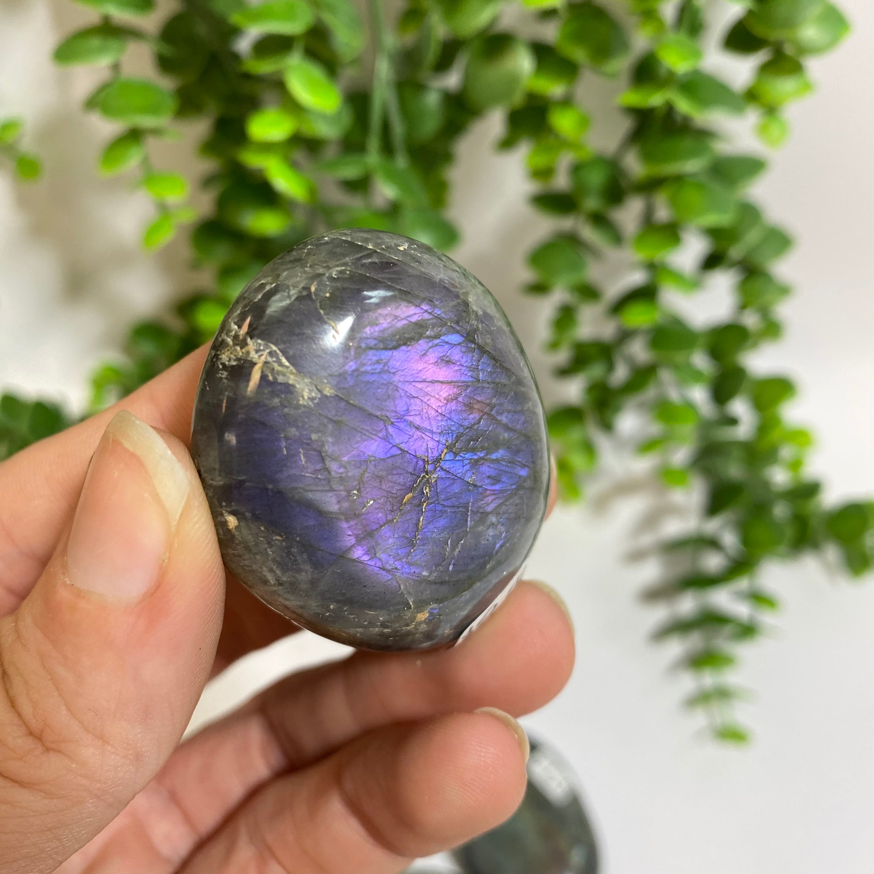 Purple Labradorite Palm Stone