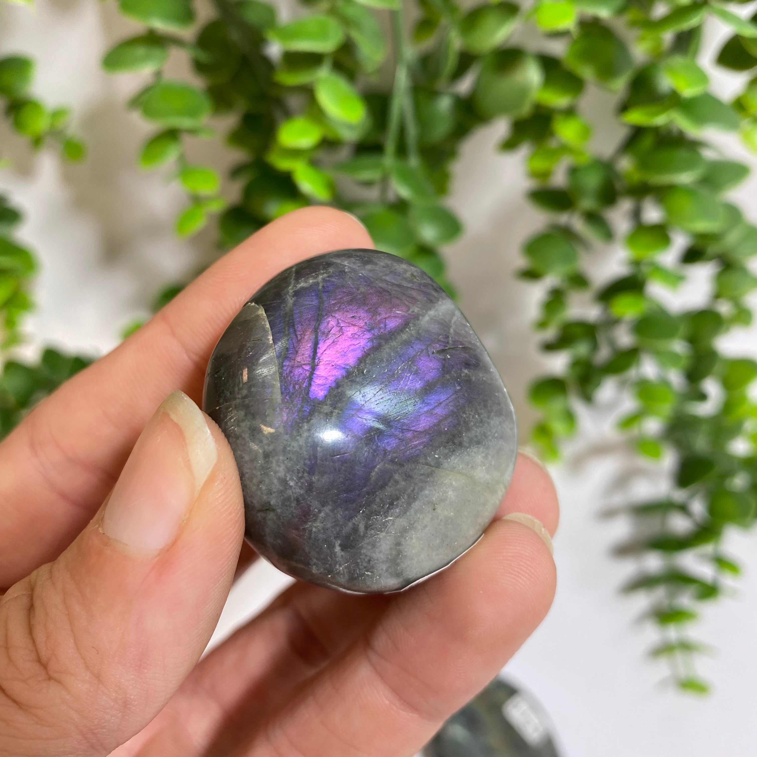 Purple Labradorite Palm Stone