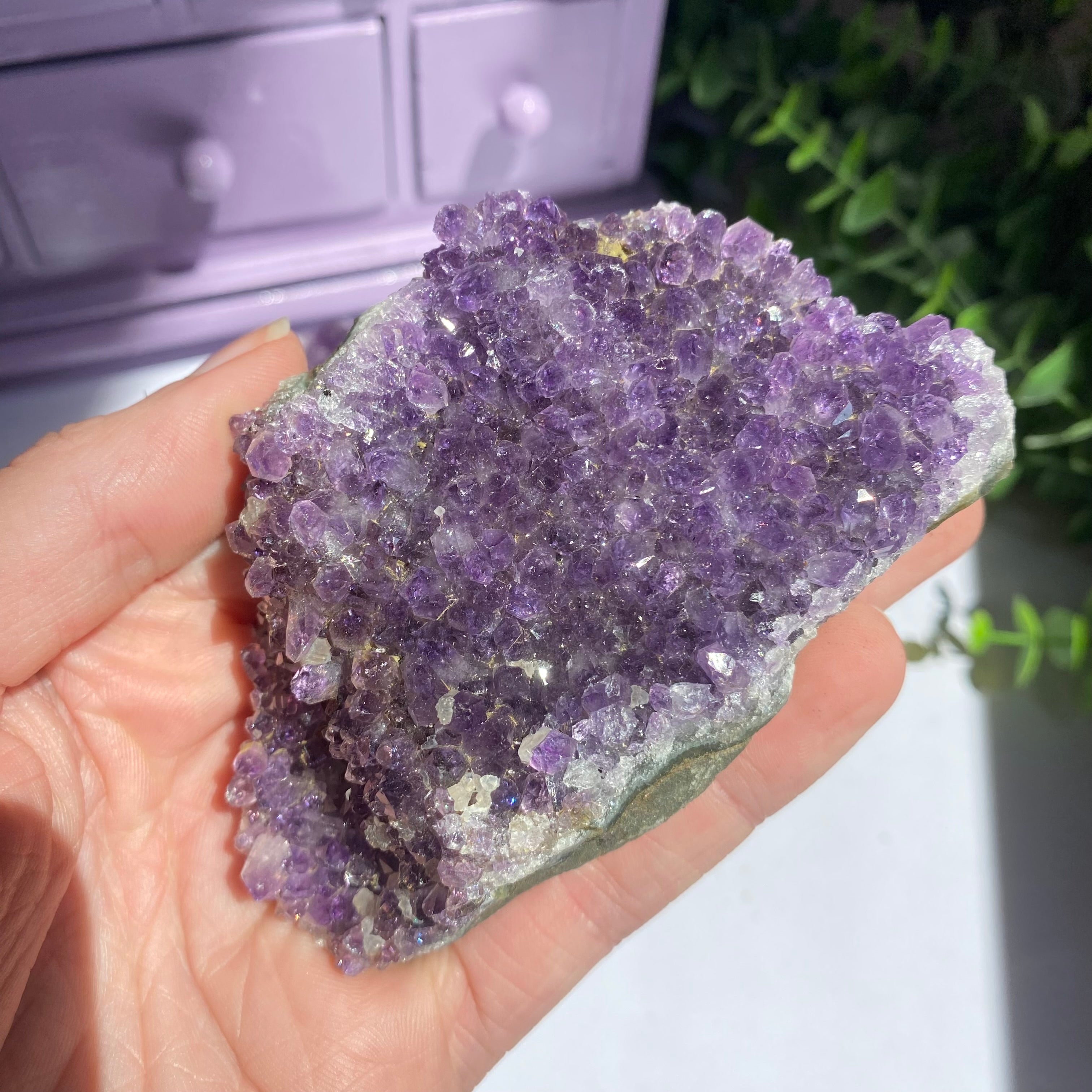 Amethyst Cluster