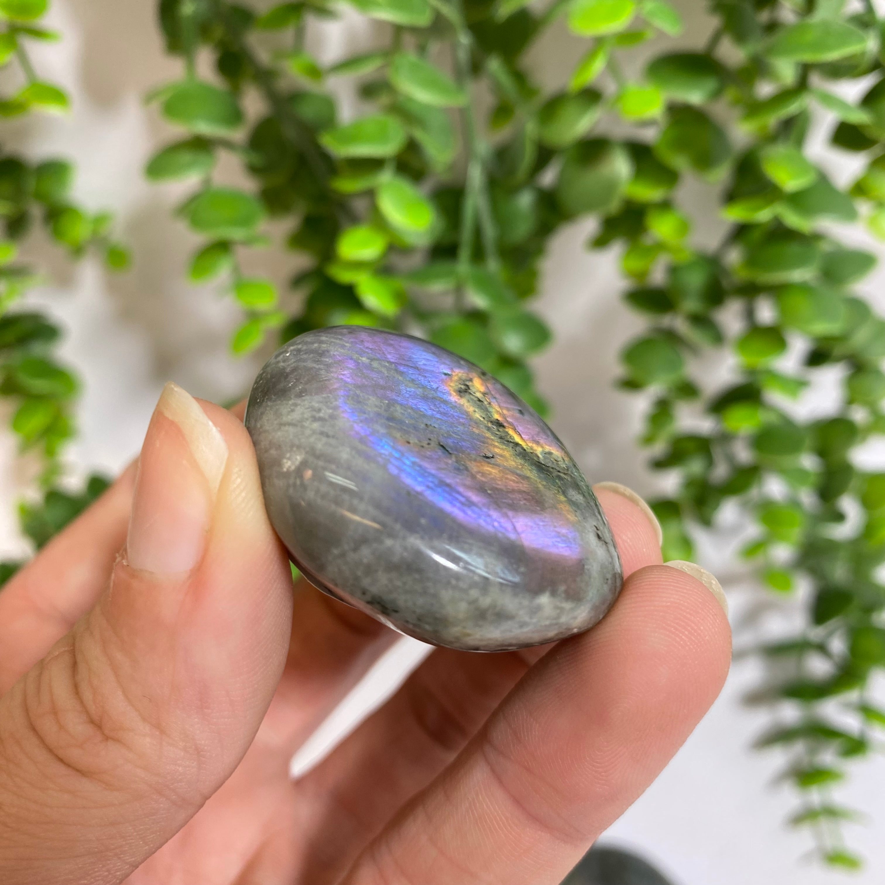 Purple Labradorite Palm Stone