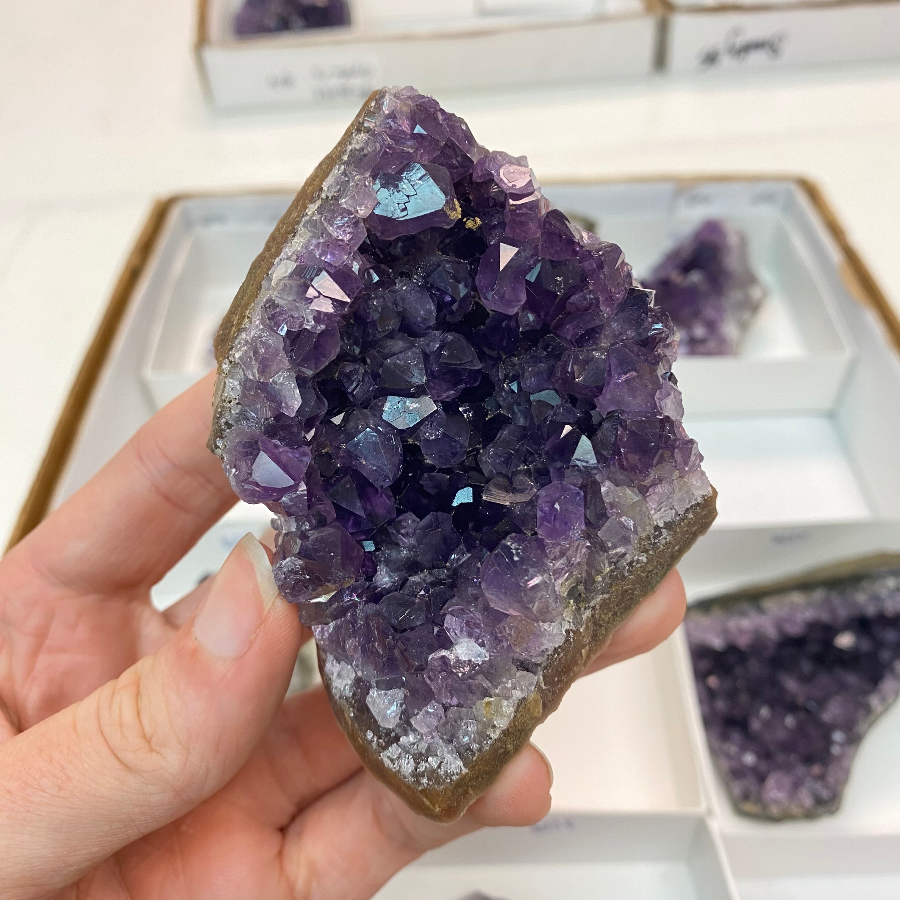 Amethyst Cluster