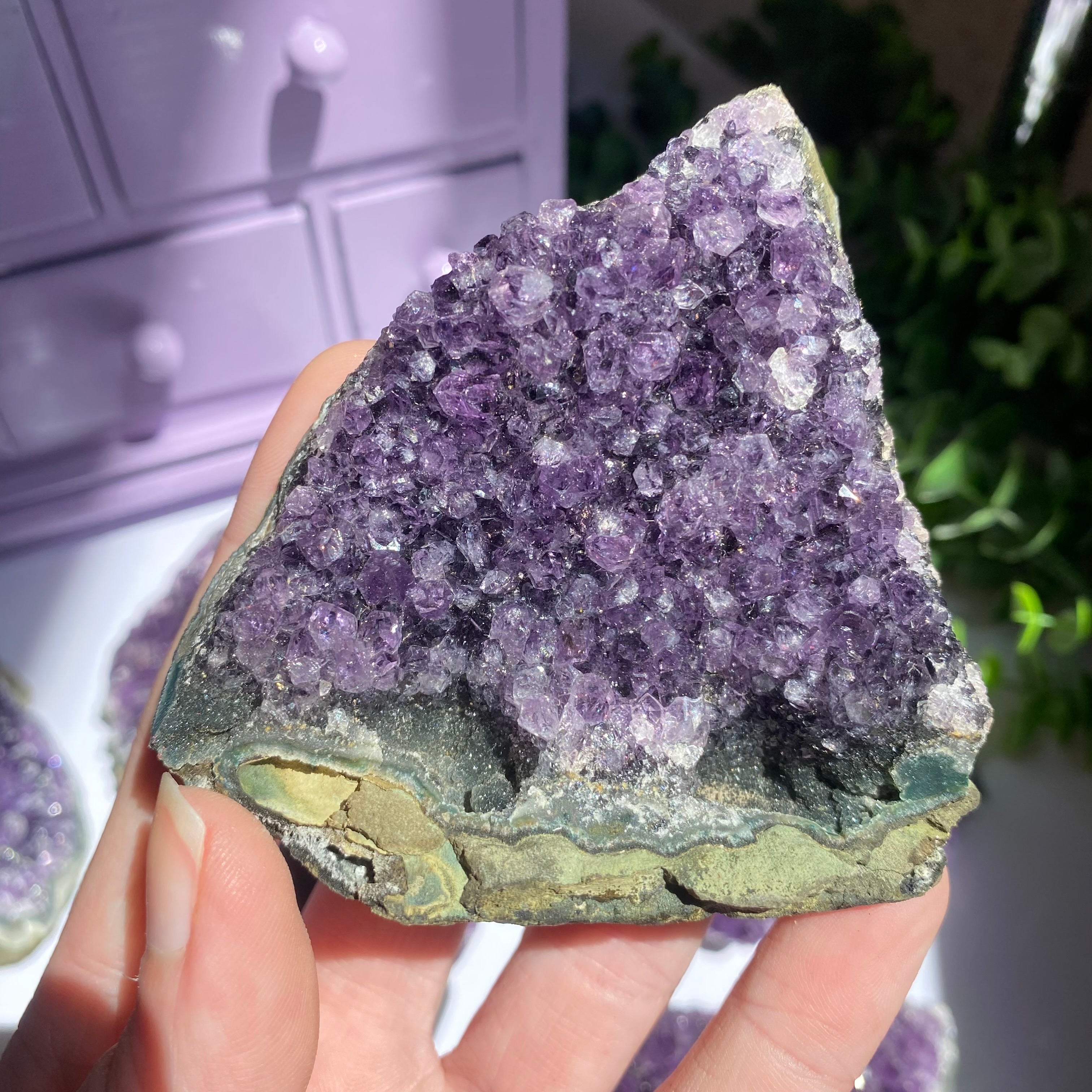 Amethyst Cluster