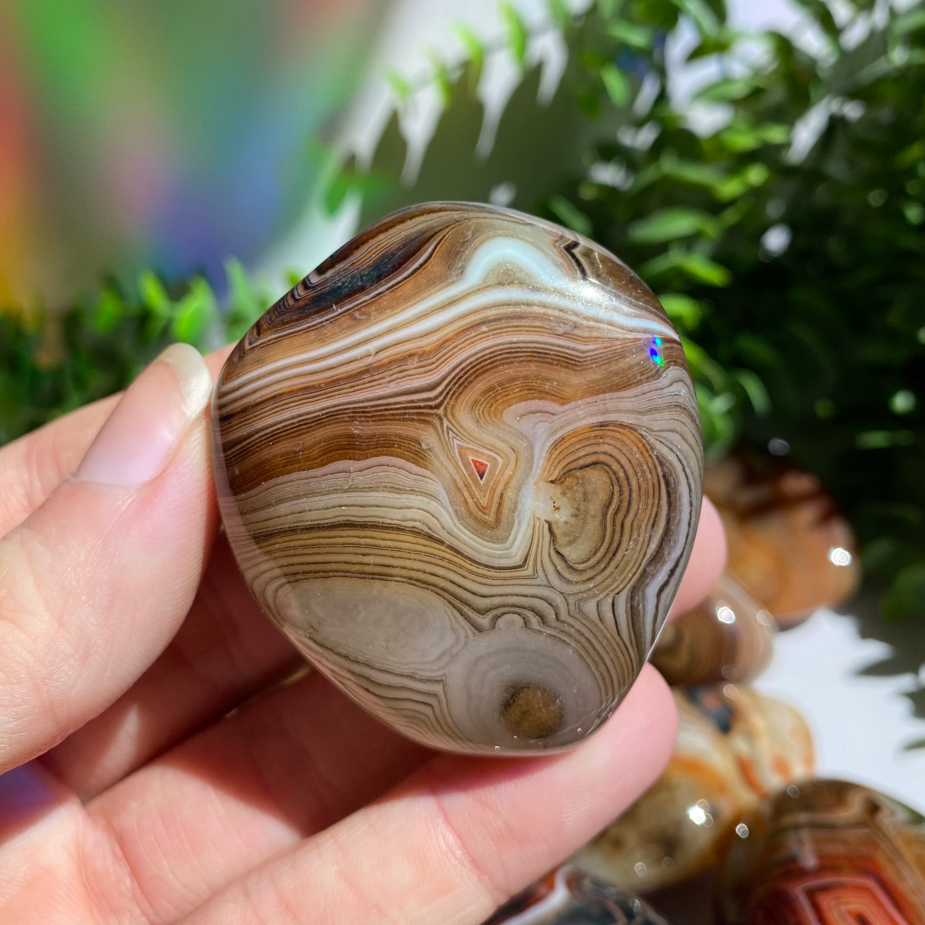 Sardonyx (Carnelian X Onyx) Palm Stone