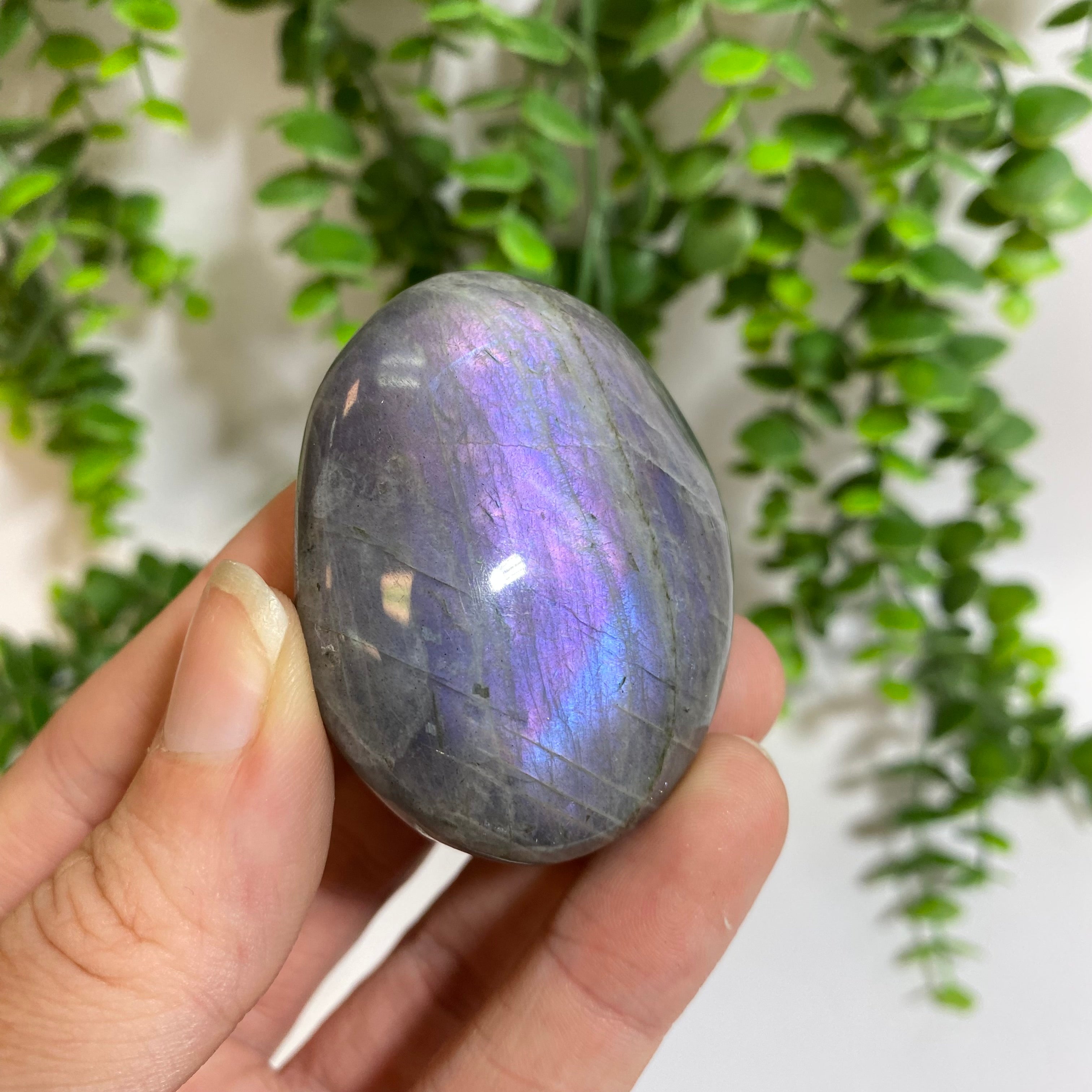 Purple Labradorite Palm Stone