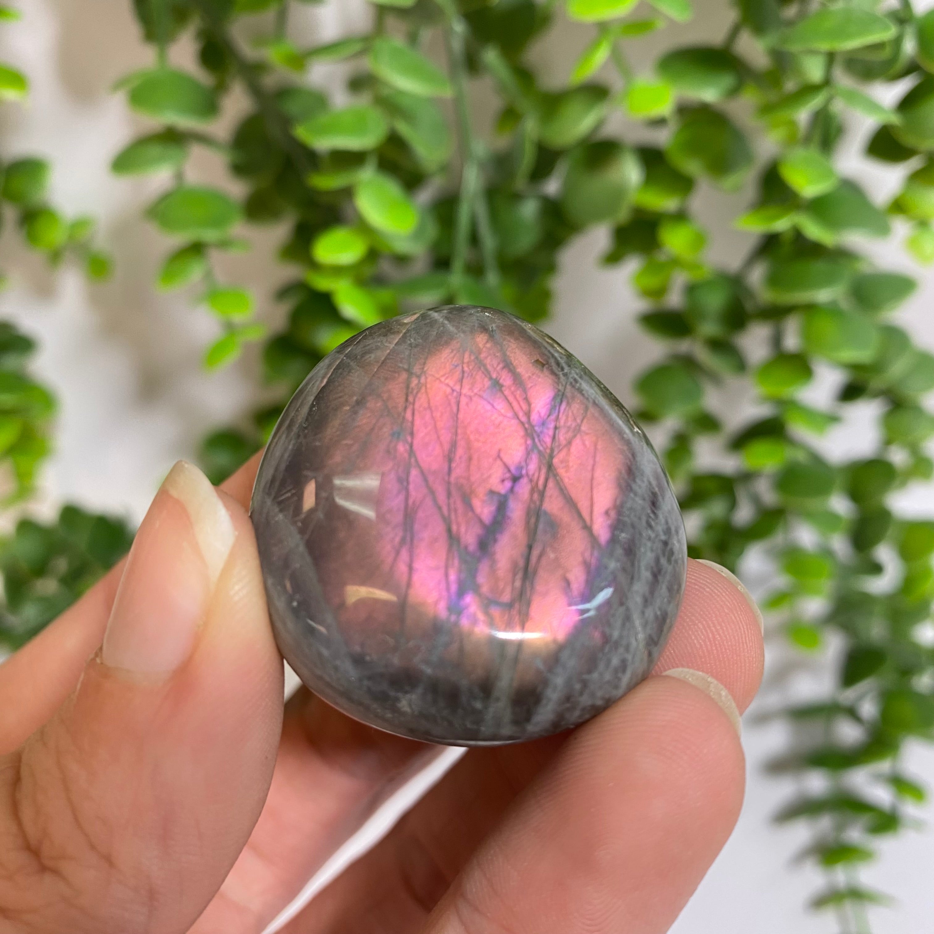 Purple Labradorite Palm Stone