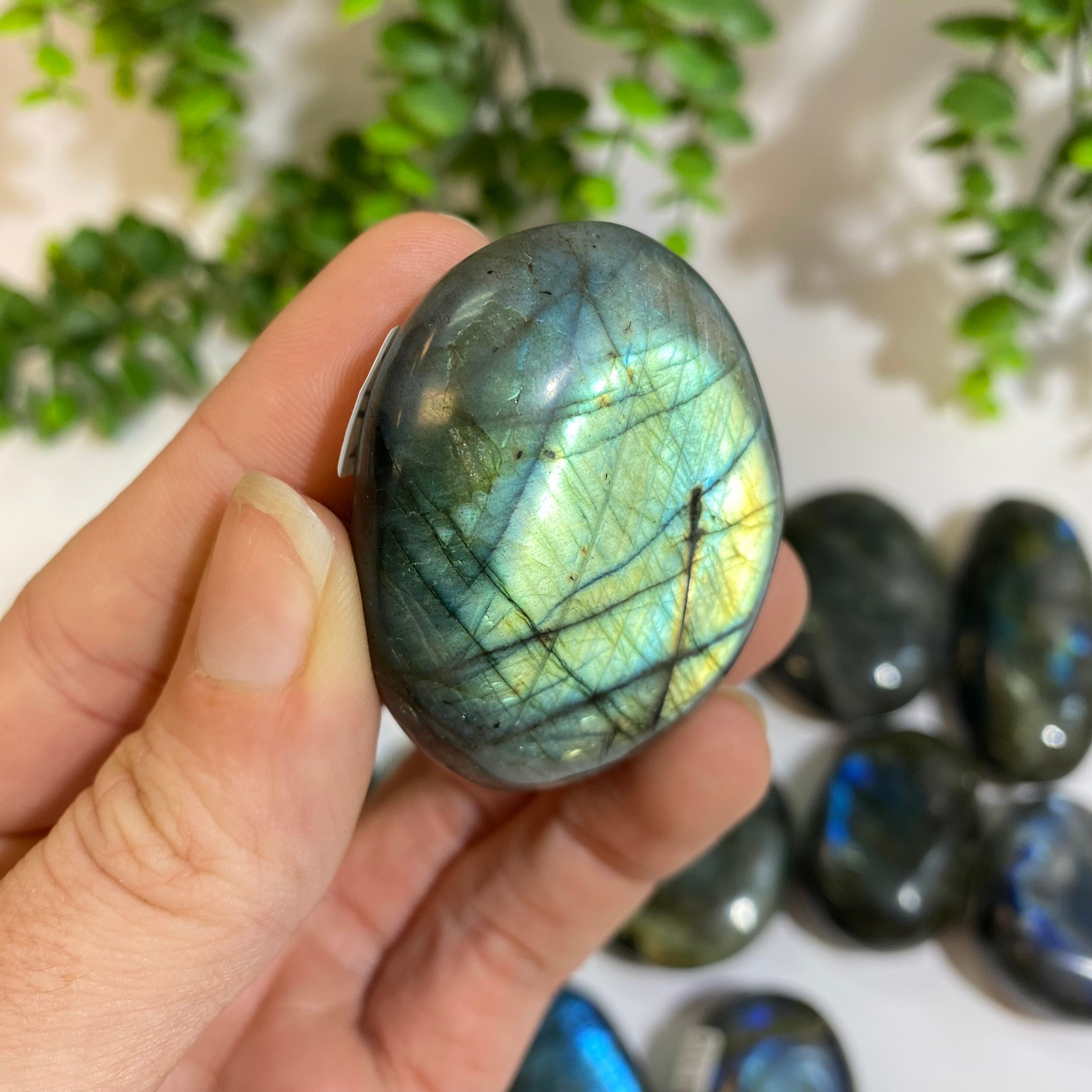 Labradorite Palm Stone