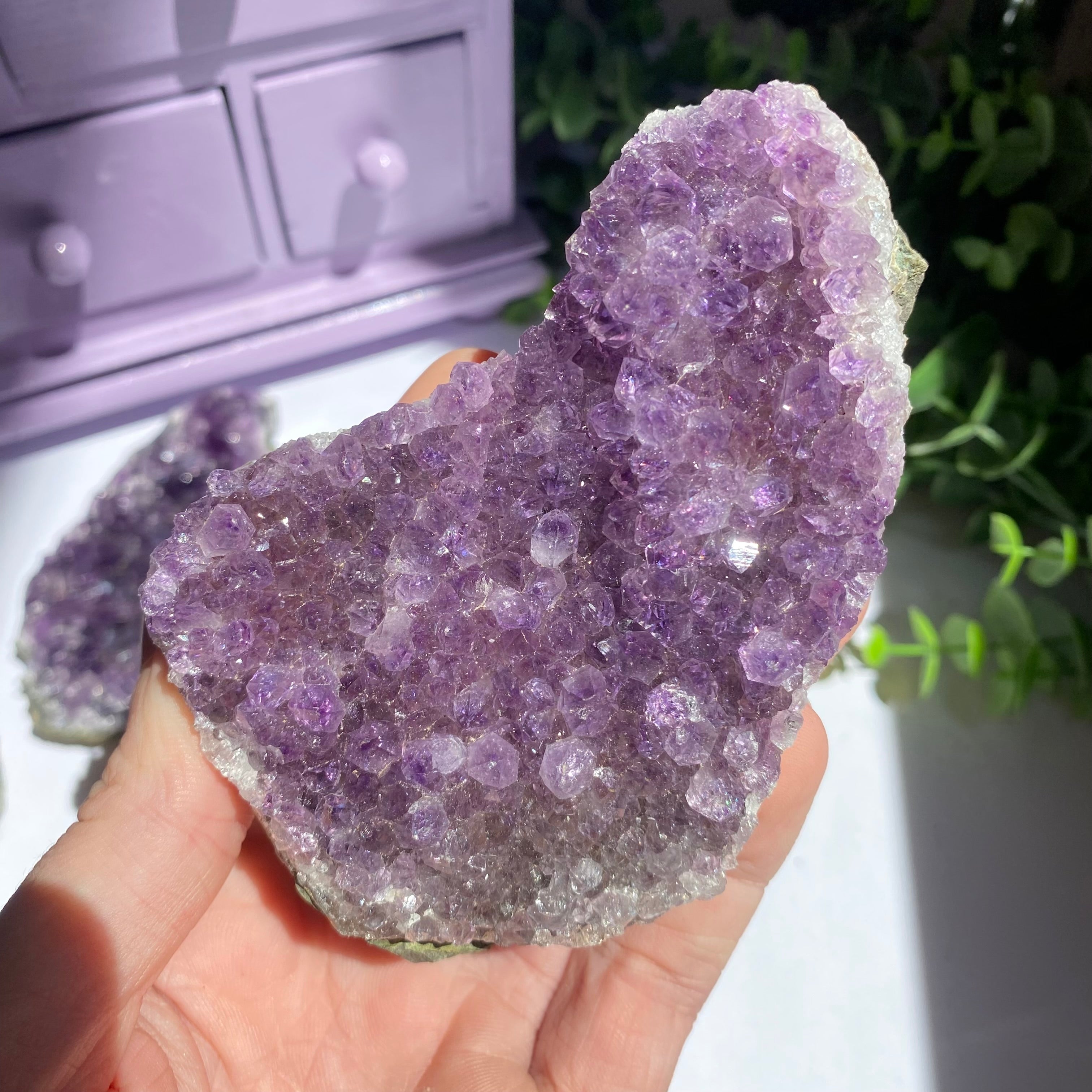 Amethyst Cluster