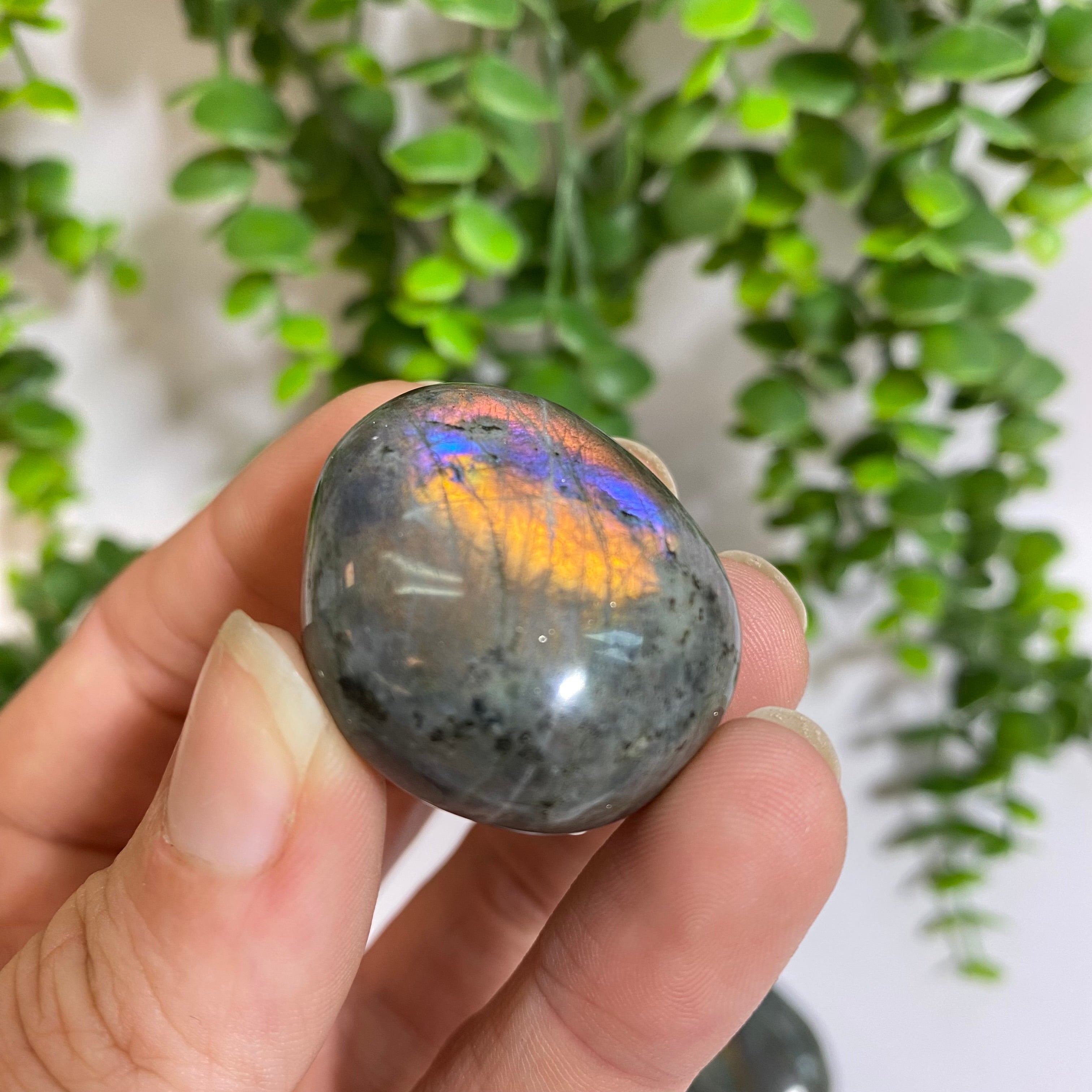 Purple Labradorite Palm Stone