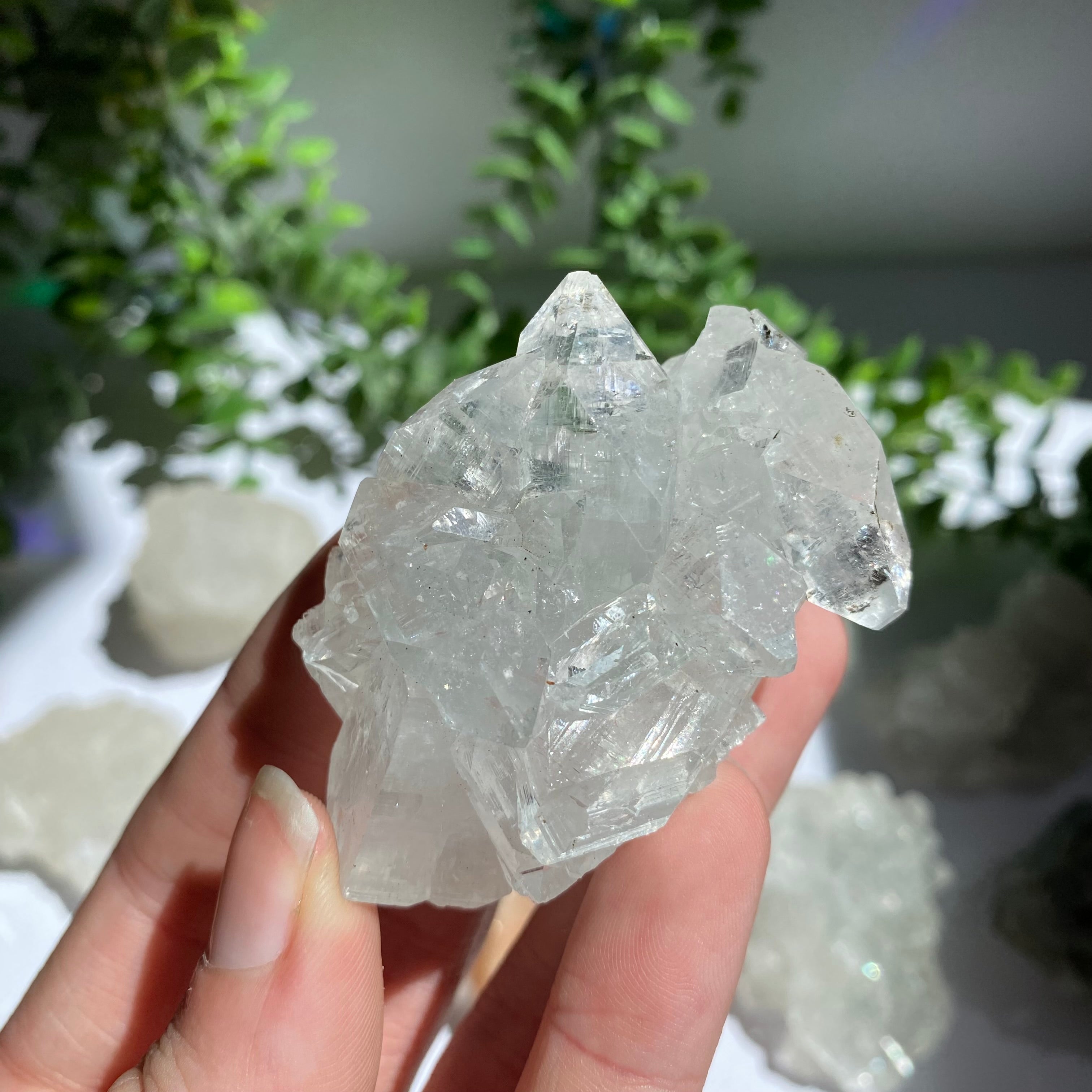 Zeolite Cluster