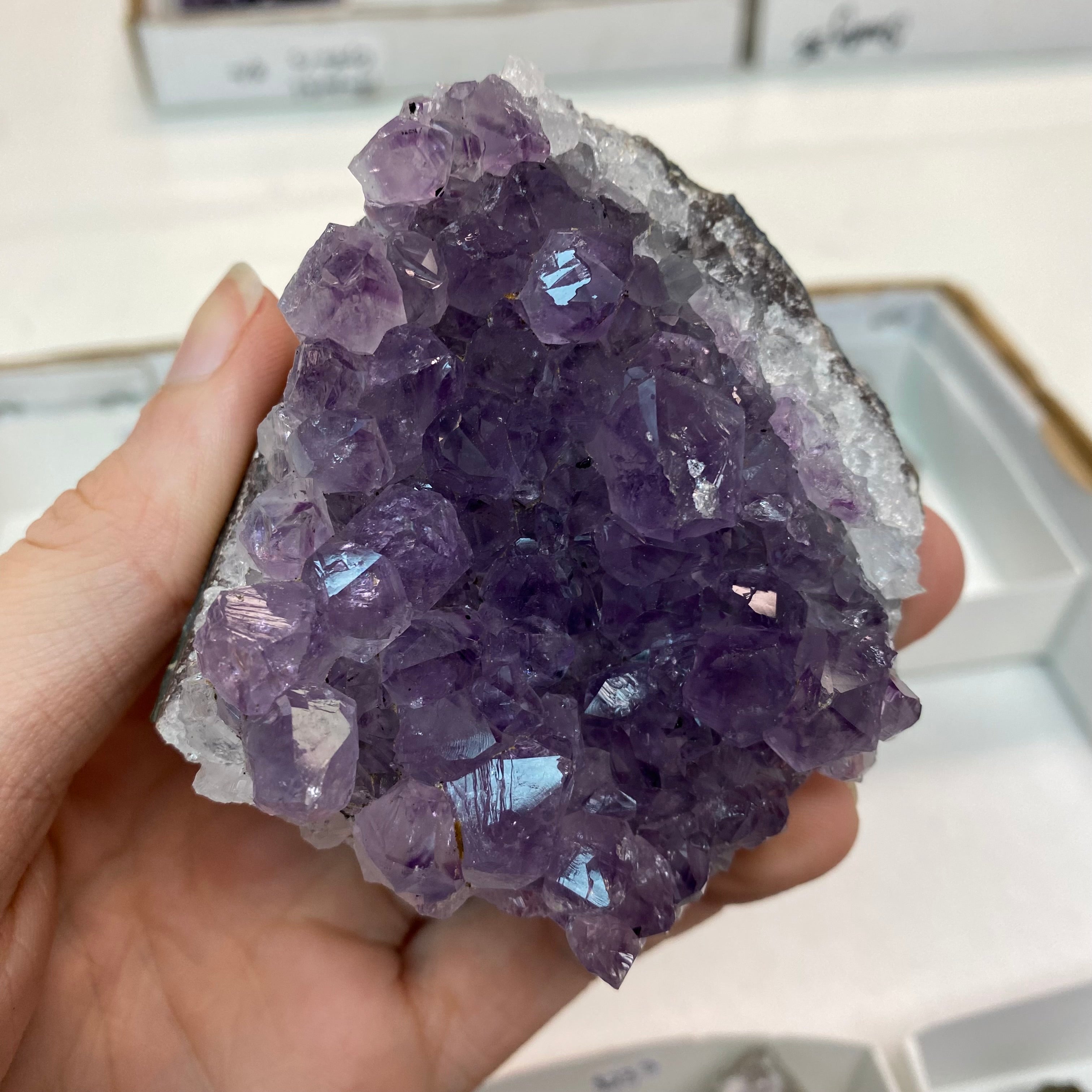 Amethyst Cluster