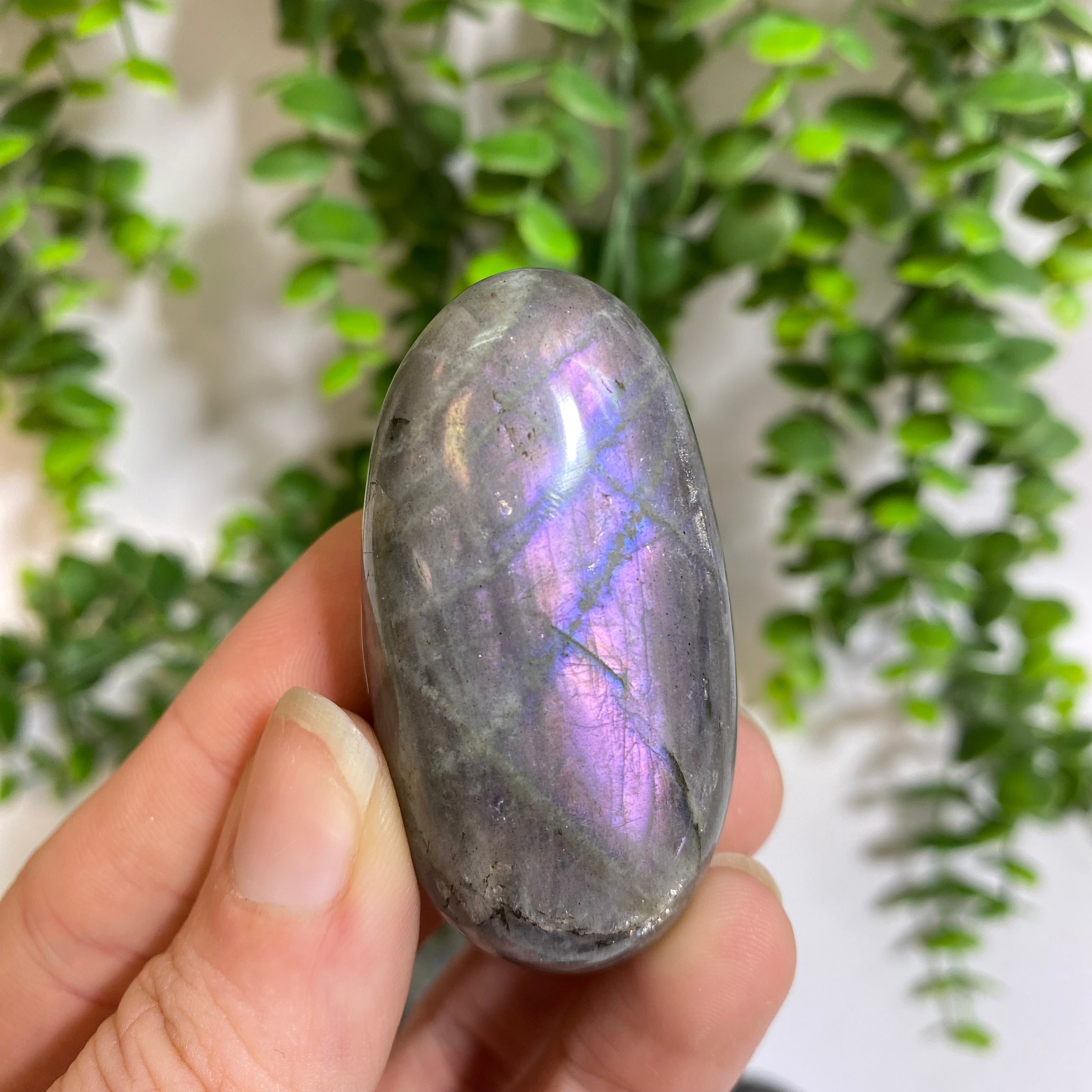 Purple Labradorite Palm Stone