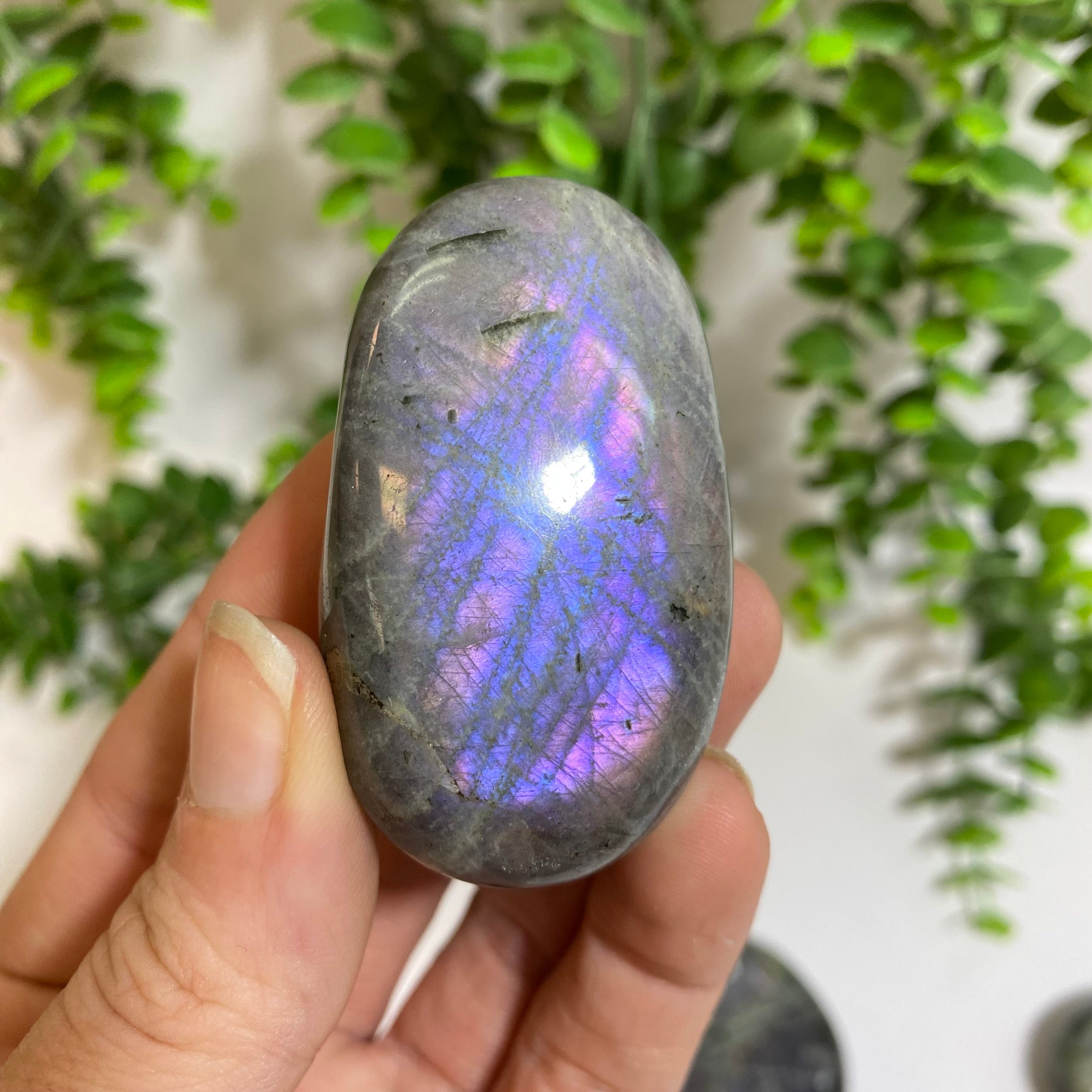 Purple Labradorite Palm Stone